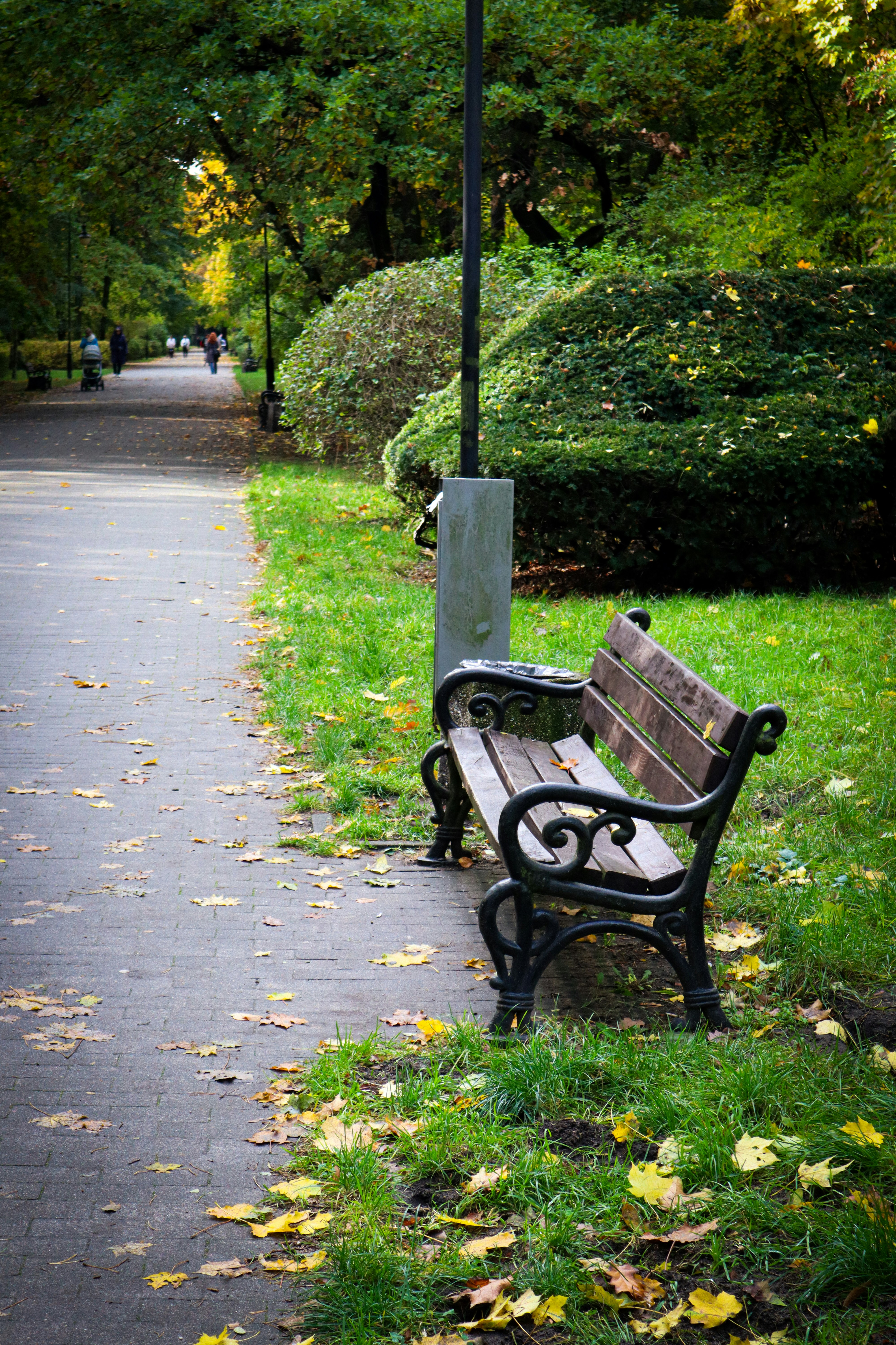 Photo by mugabo_library