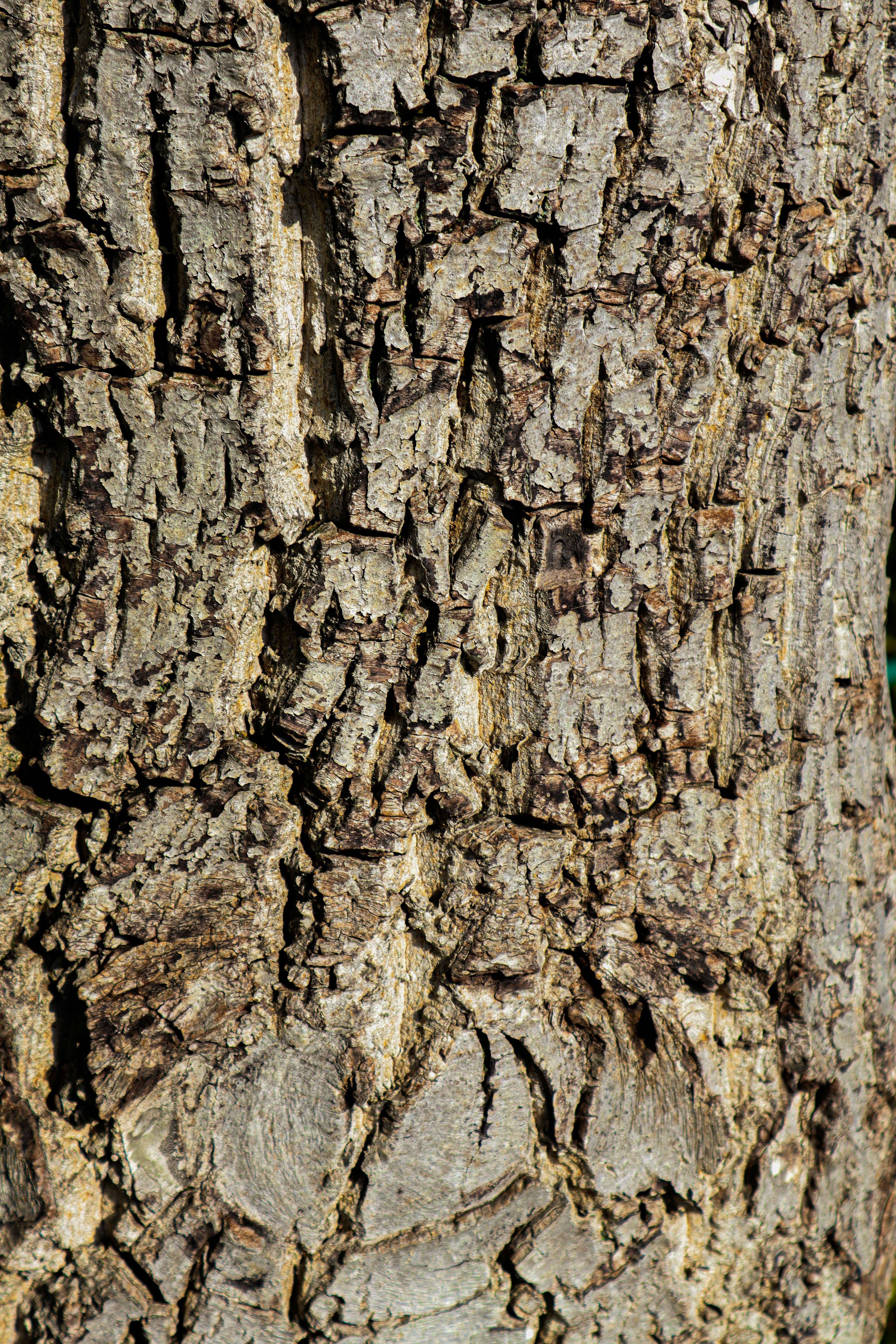 Photo by mugabo_library