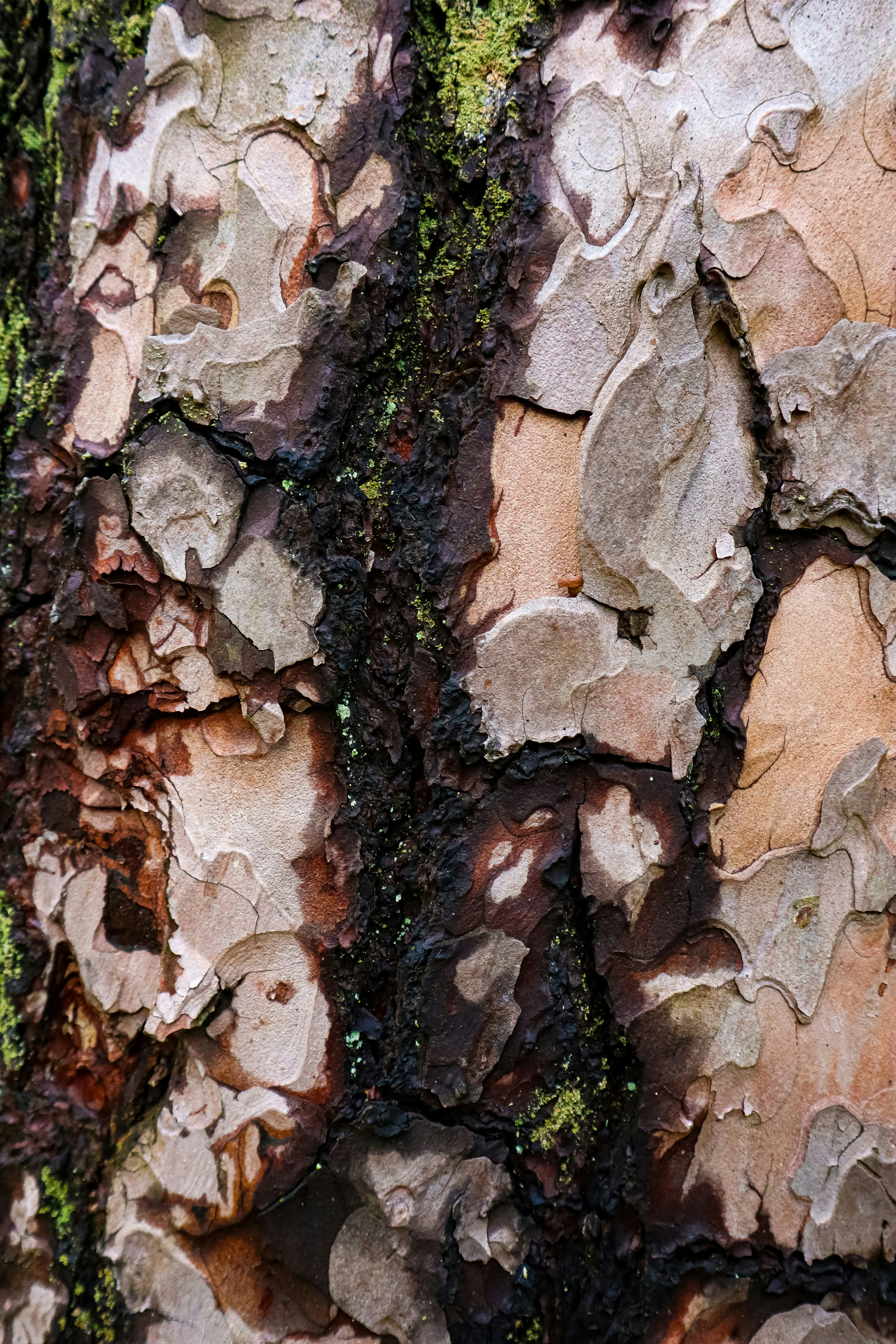 Photo by mugabo_library