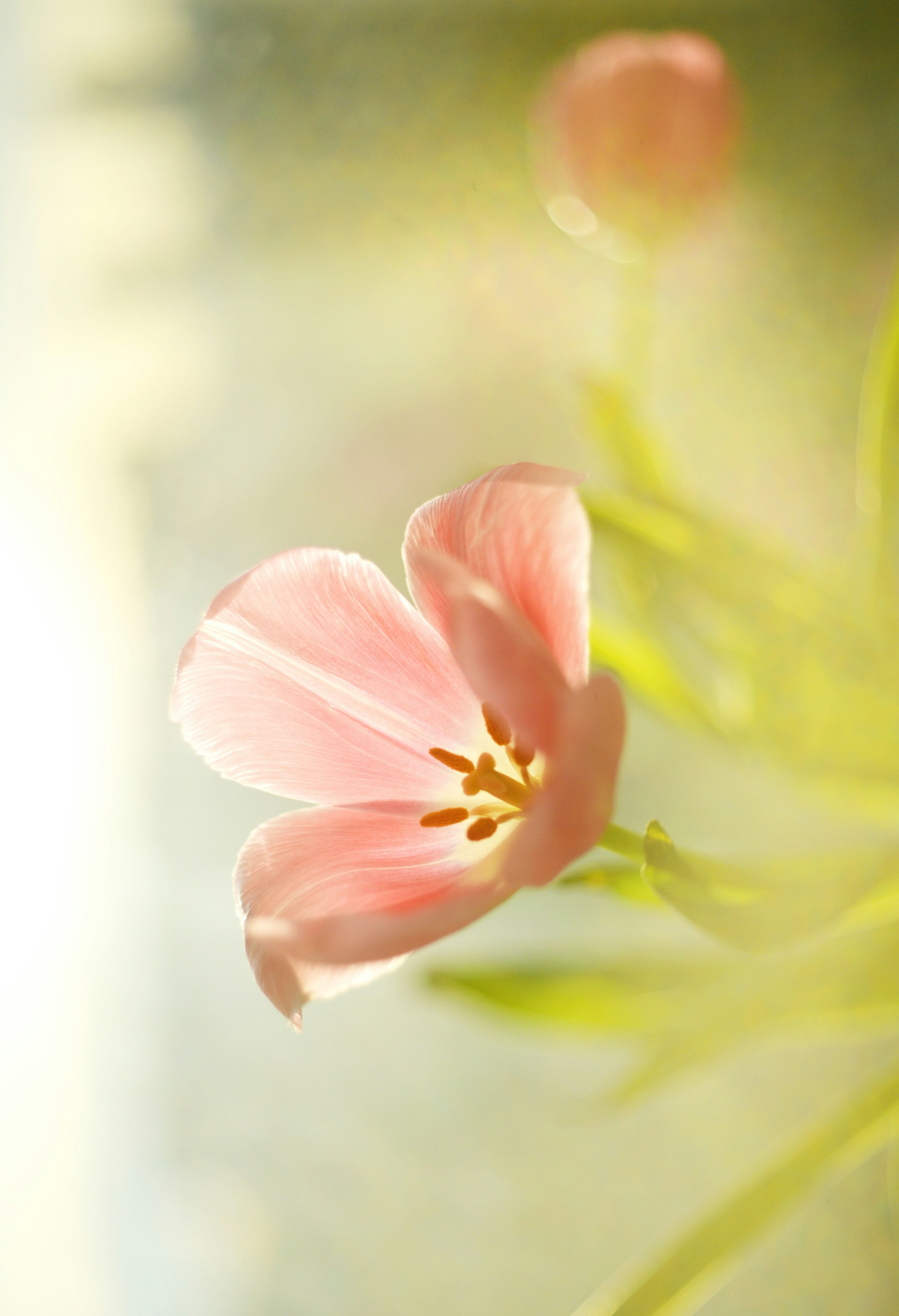 Photo by cherstve_pechivo