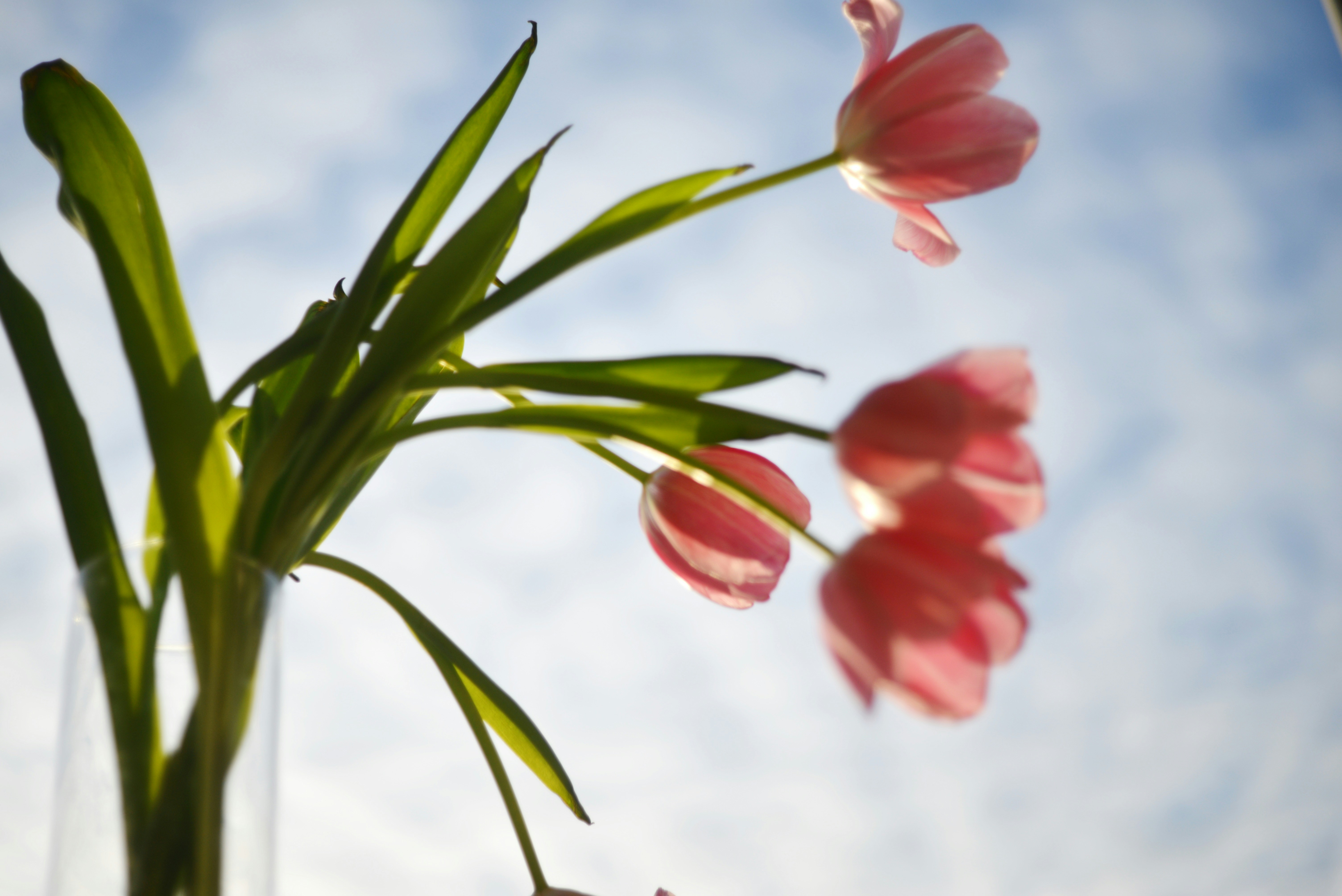 Photo by cherstve_pechivo