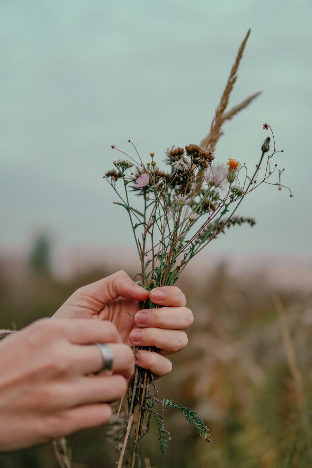 a person holding a bunch of flowers in their hand