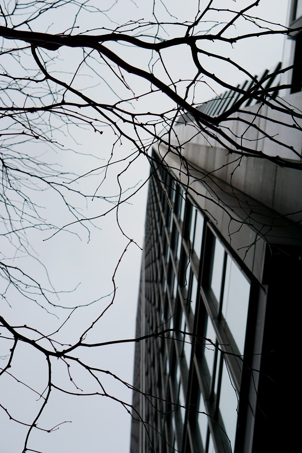a tall building next to a tree with no leaves