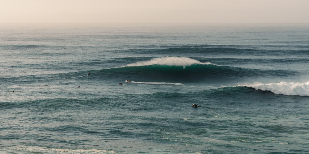 a group of people riding surfboards on top of a wave