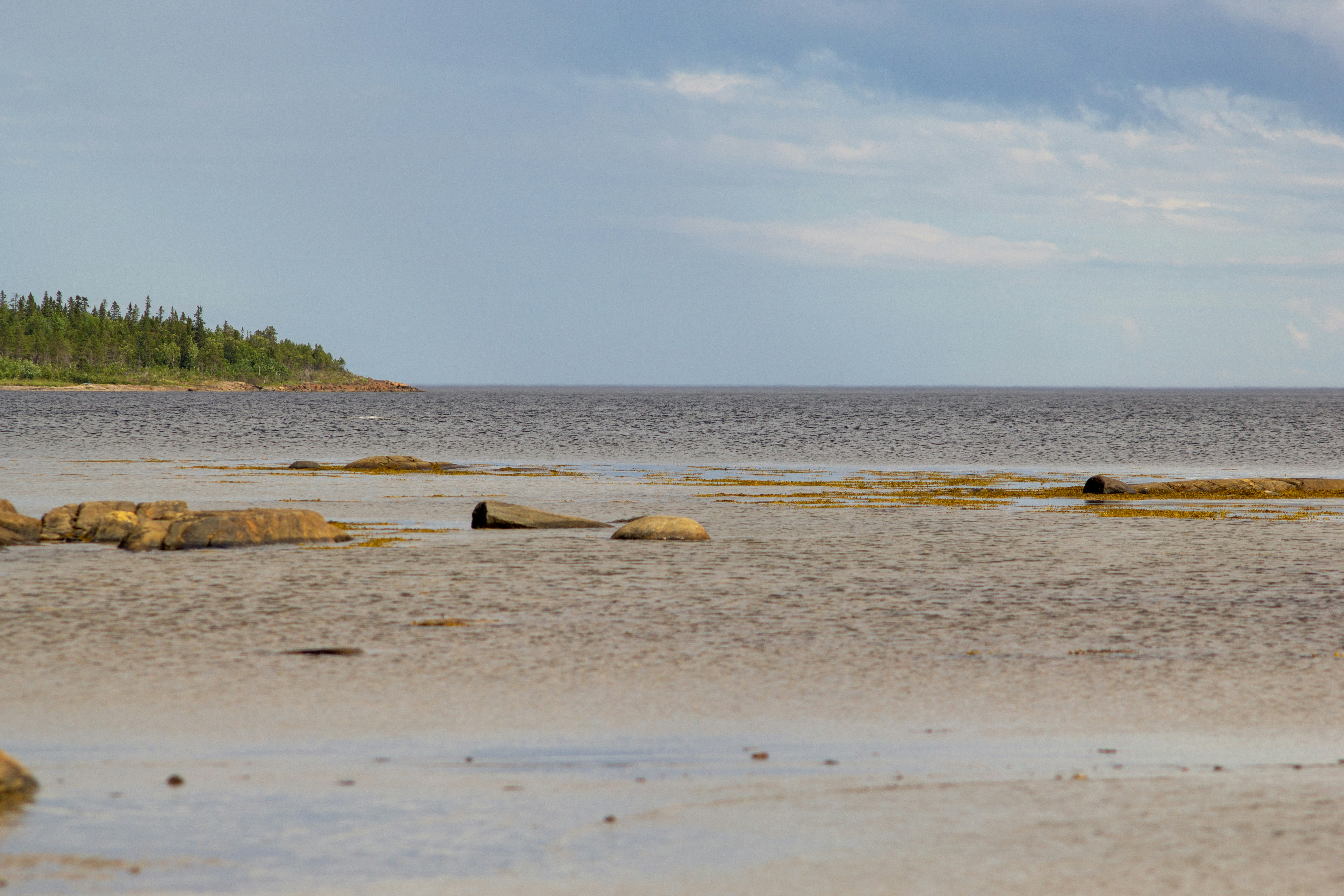 Photo by marina_davzhenok