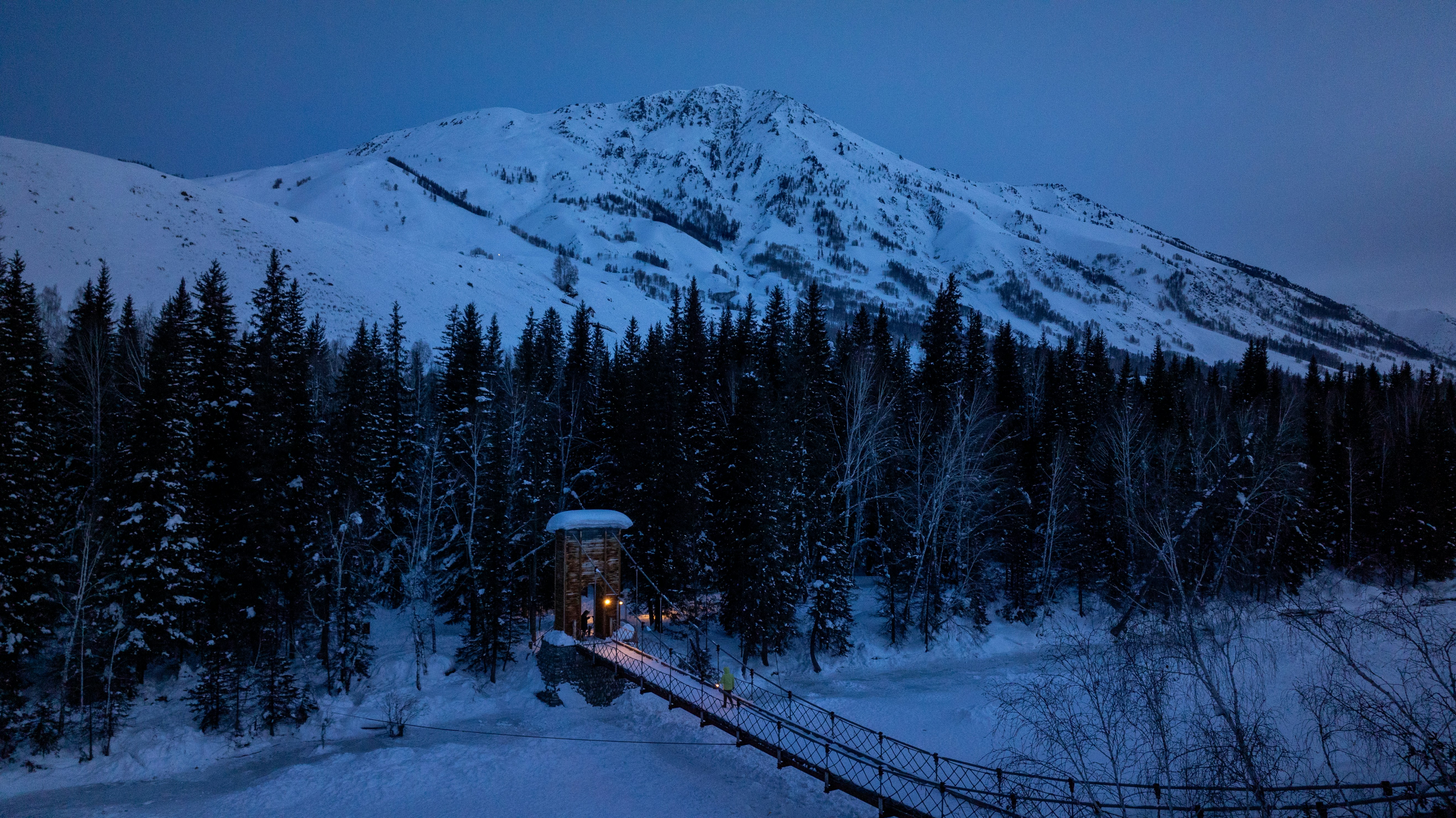 a train traveling through a snow covered forest
