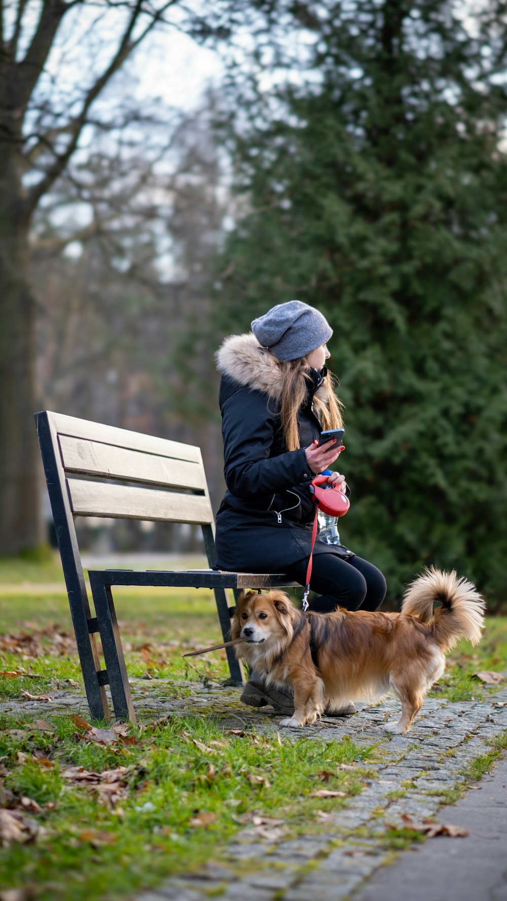 a woman sitting on a bench with two dogs
