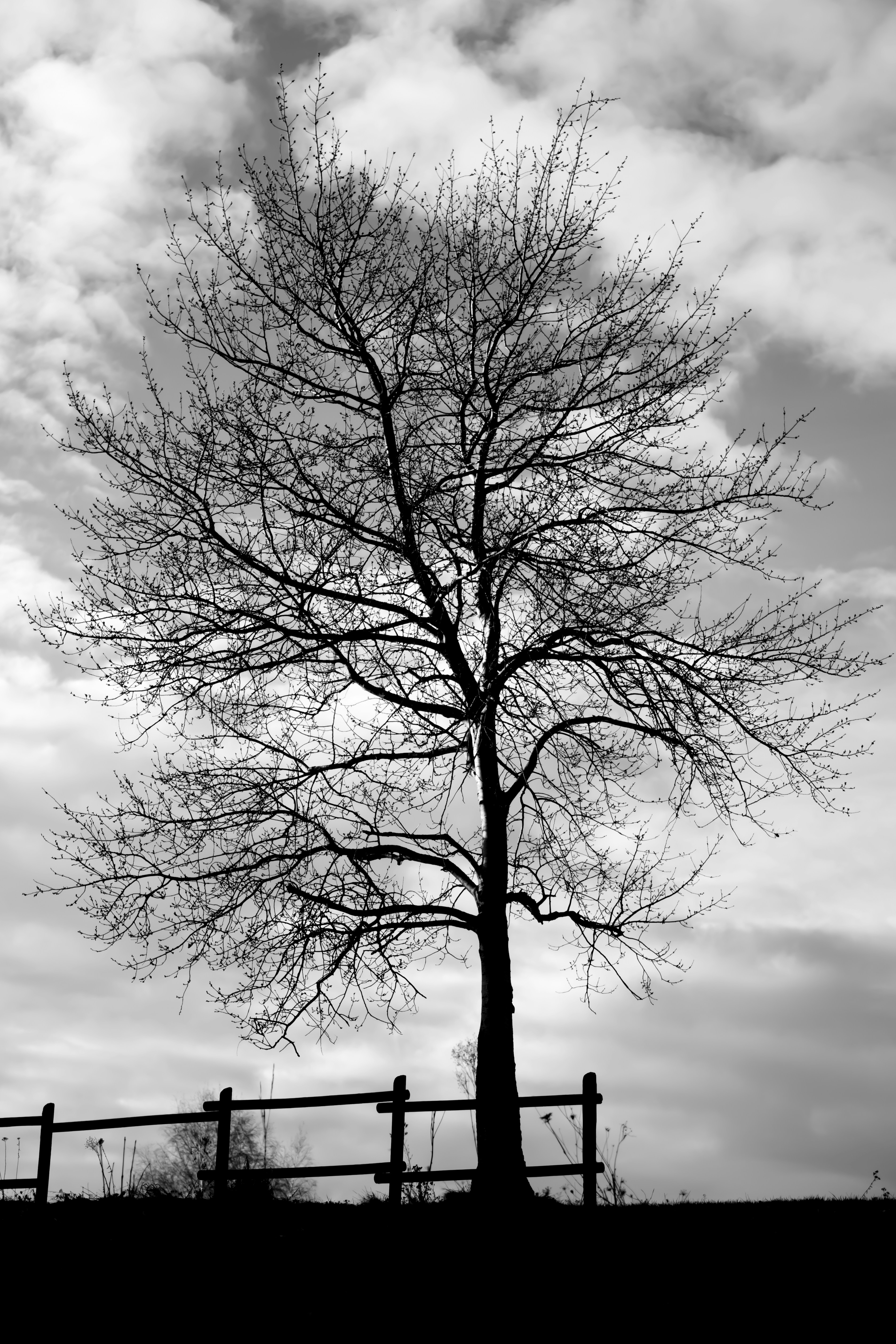 Photo by misha_blivi