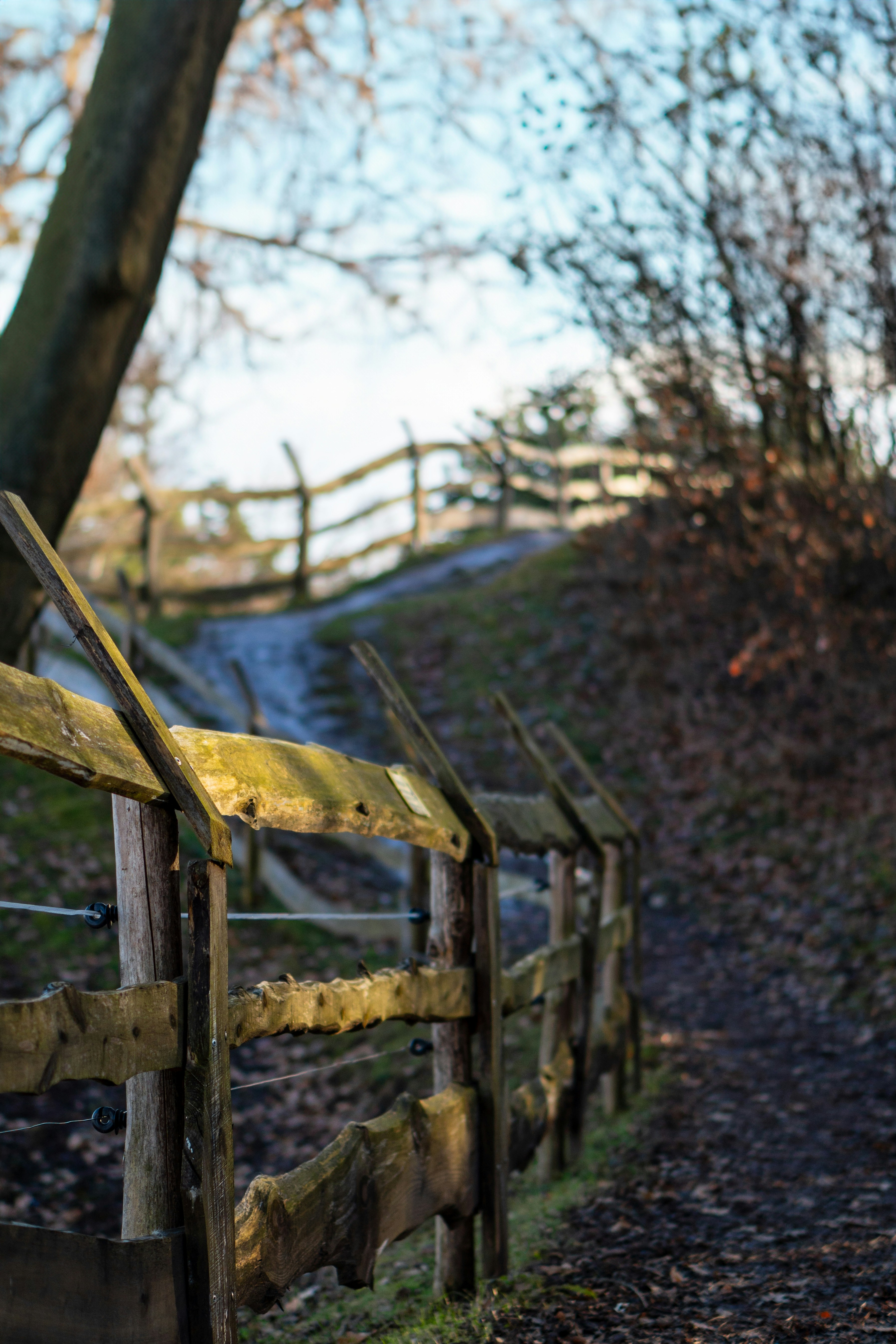 Photo by misha_blivi