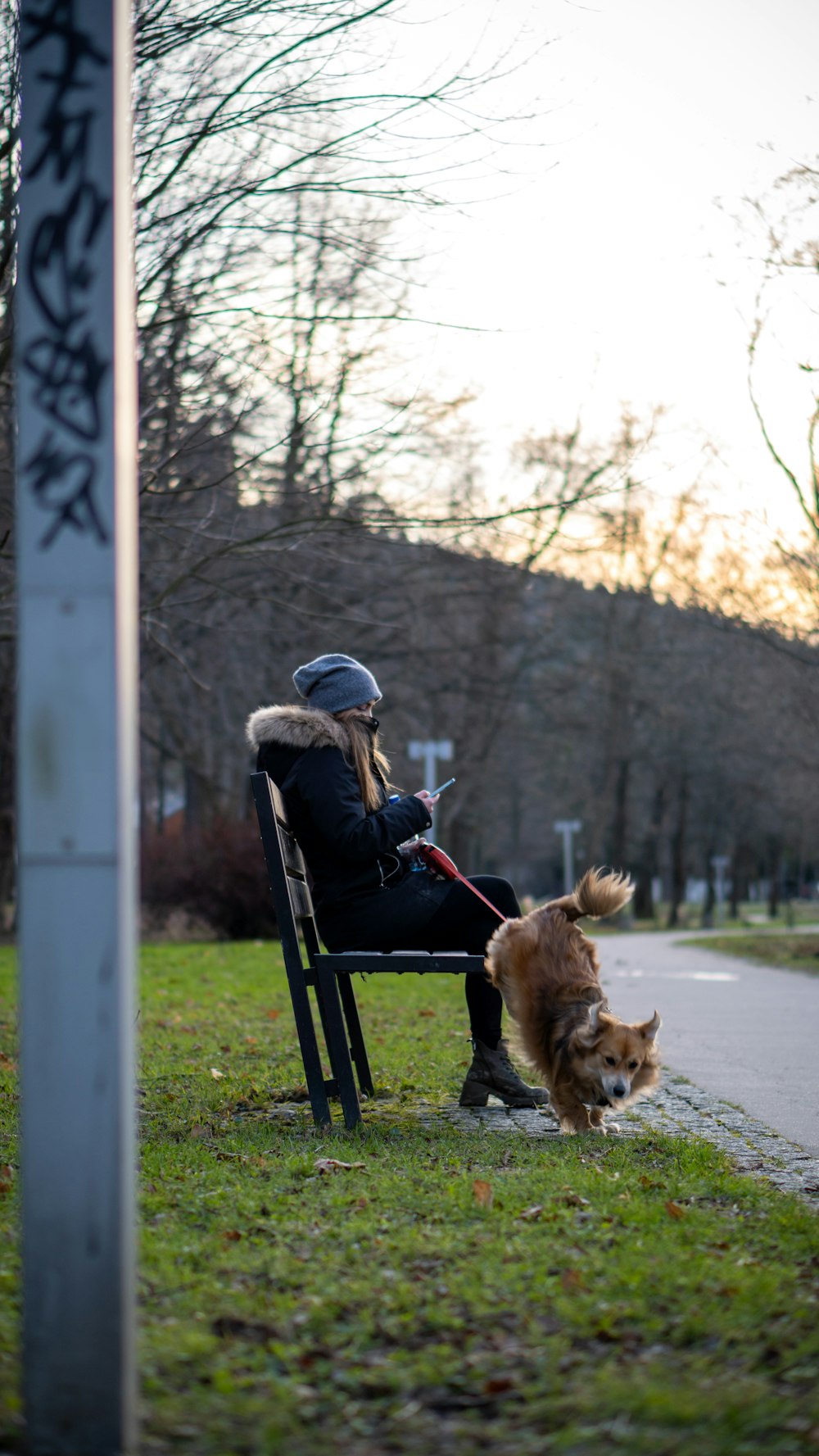 a woman sitting on a bench next to a dog