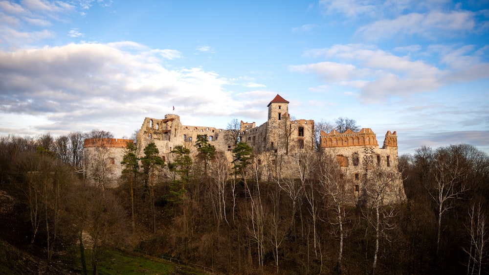 a large castle sitting on top of a lush green hillside