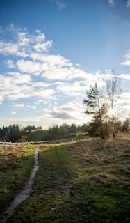 a grassy field with a dirt path going through it