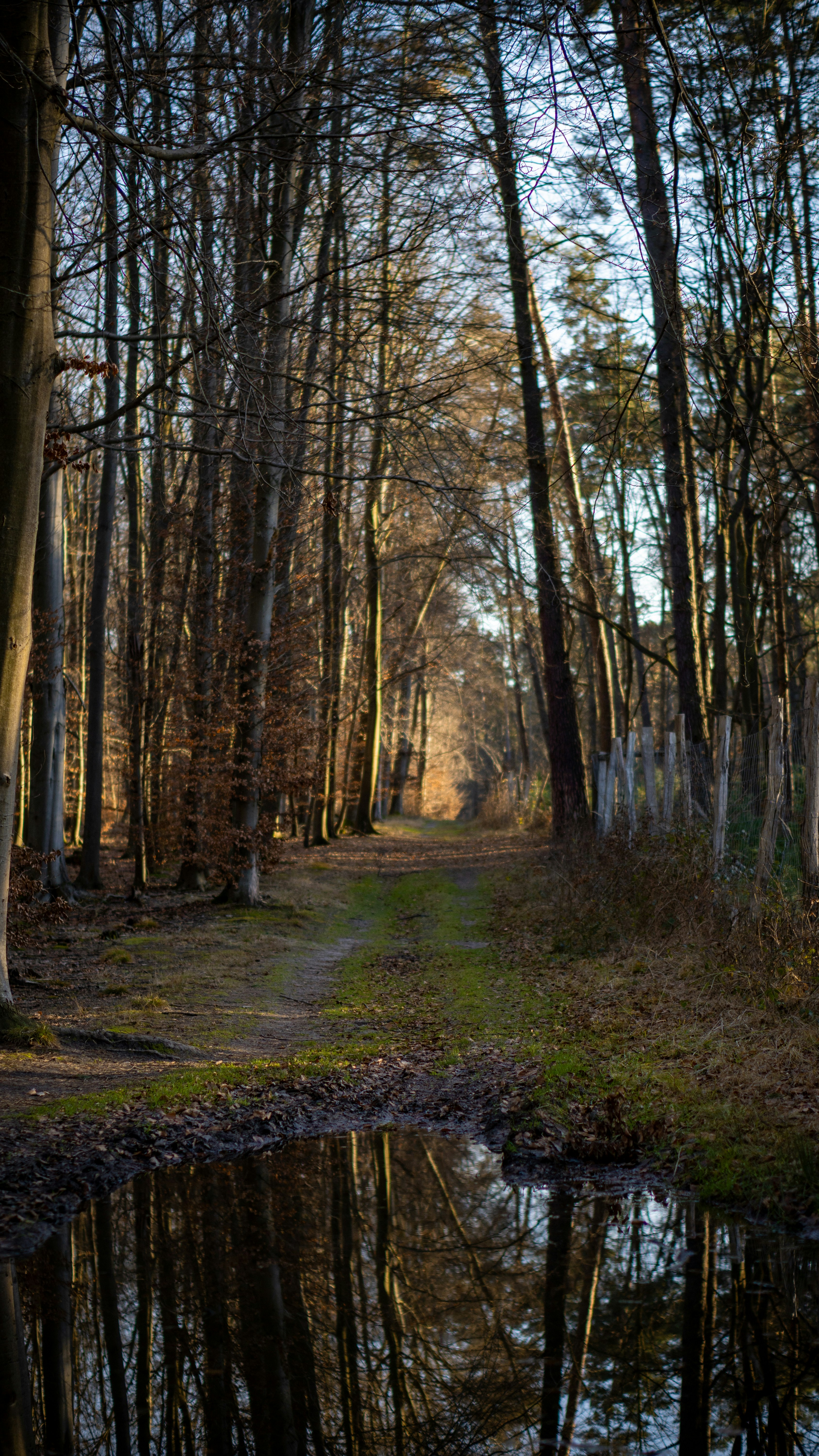 Photo by misha_blivi