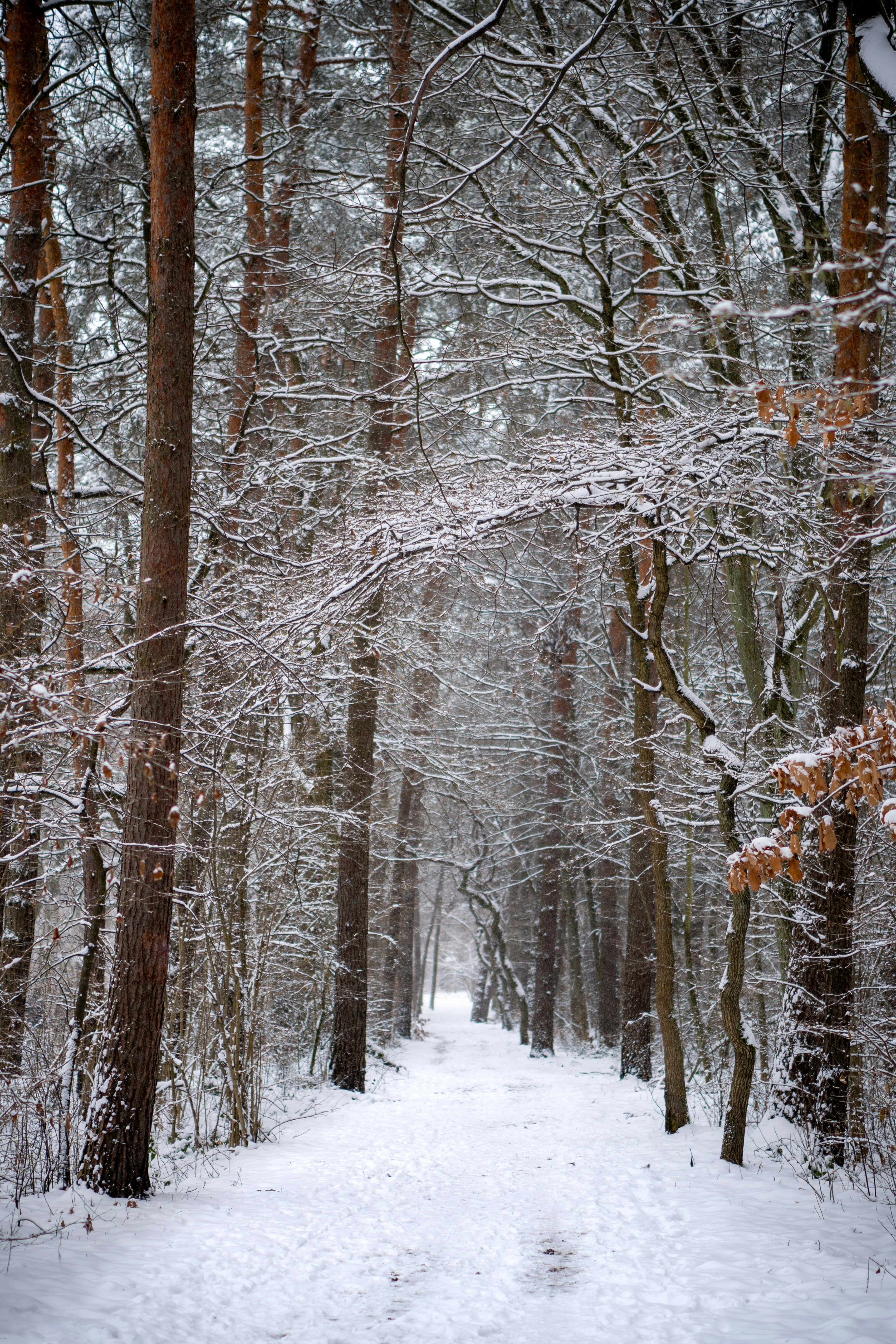 Photo by misha_blivi