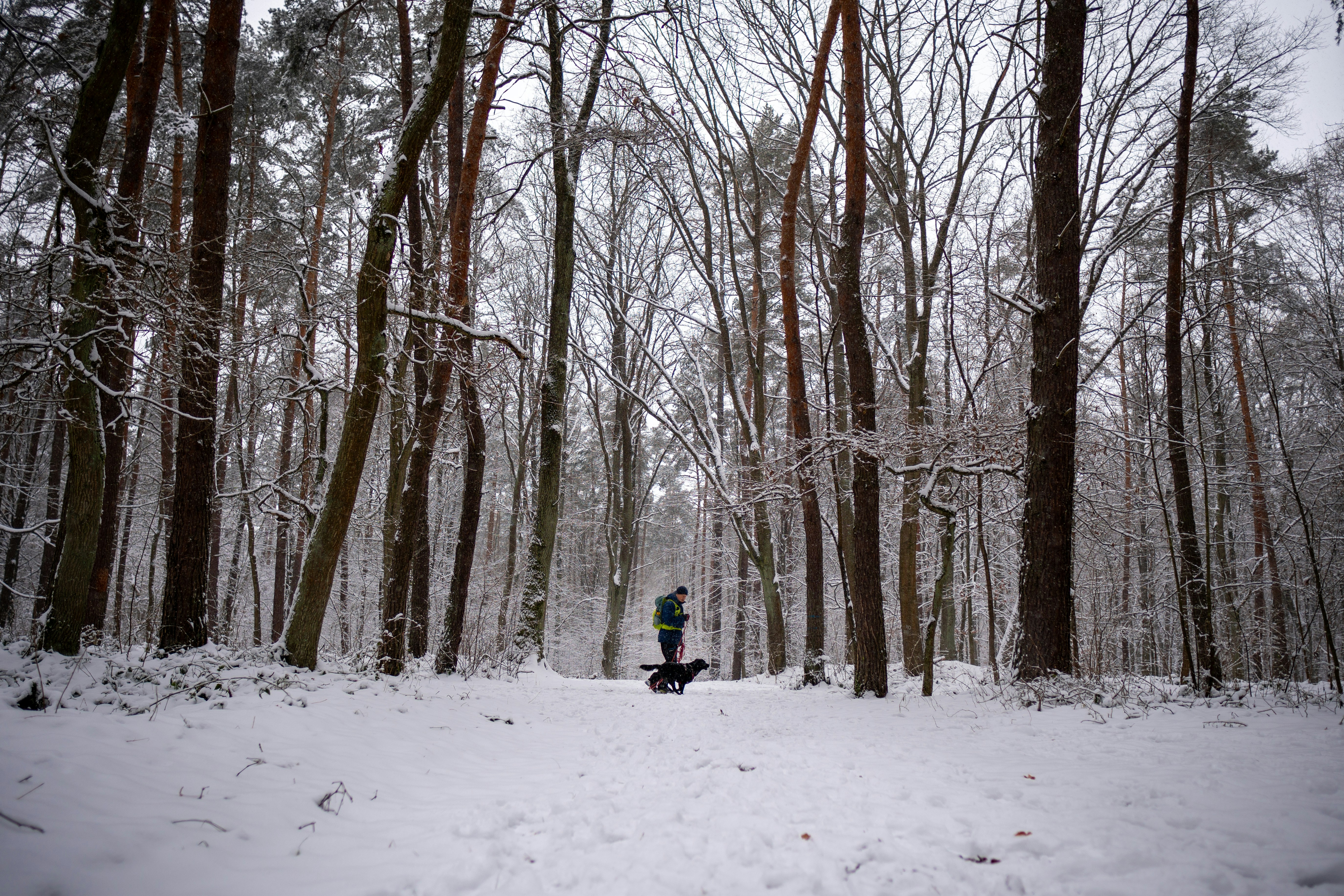 Photo by misha_blivi