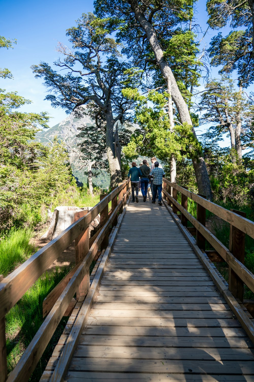 a group of people walking across a wooden bridge