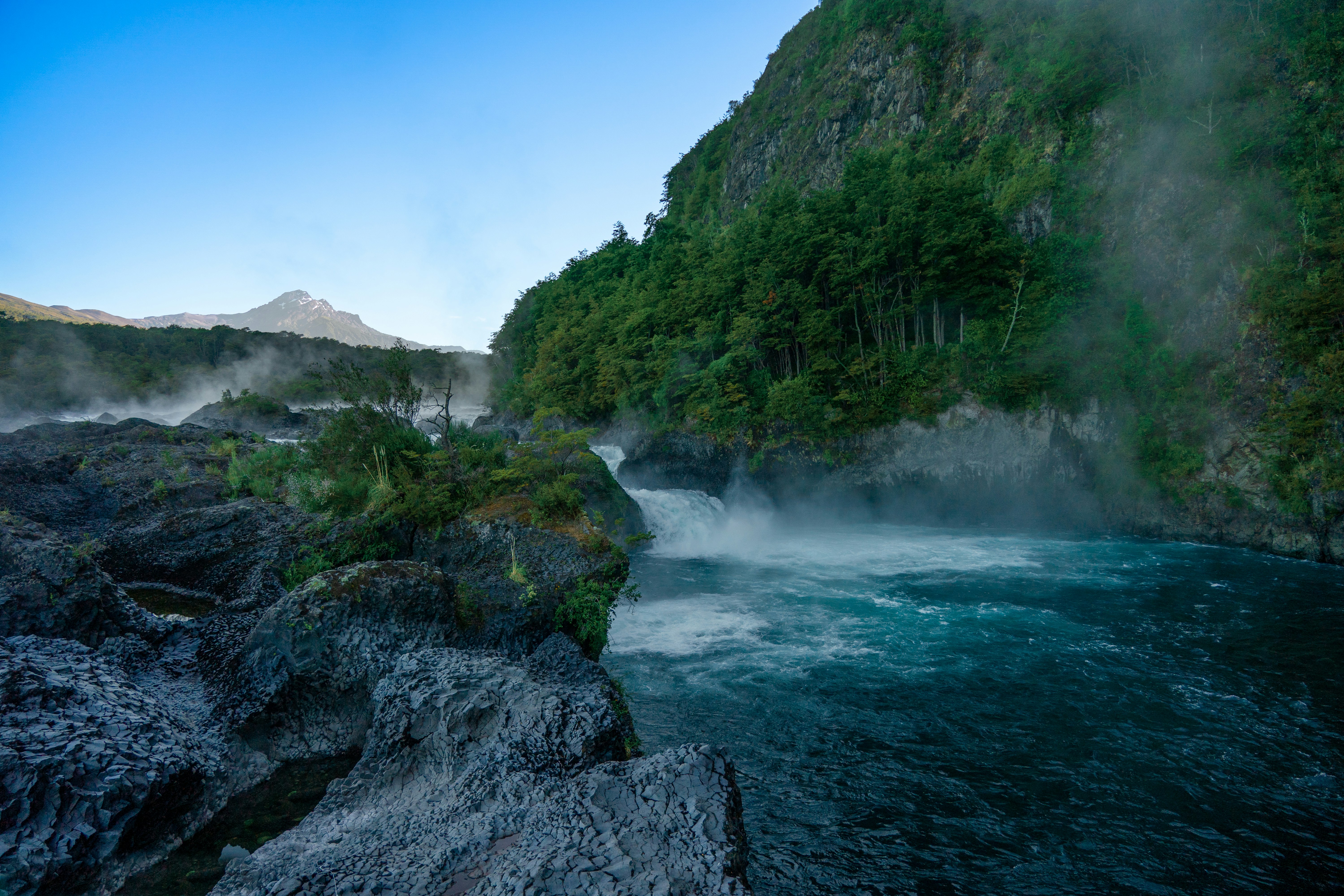 a river flowing through a lush green forest