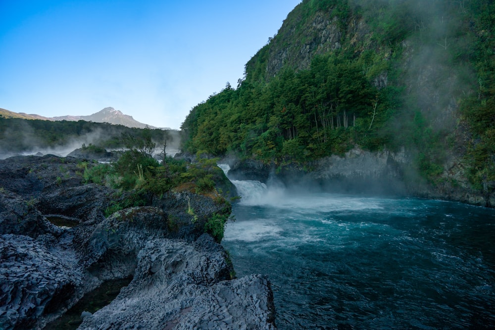 a river flowing through a lush green forest