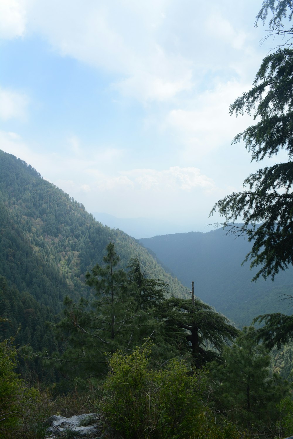 a scenic view of a mountain with trees and mountains in the background