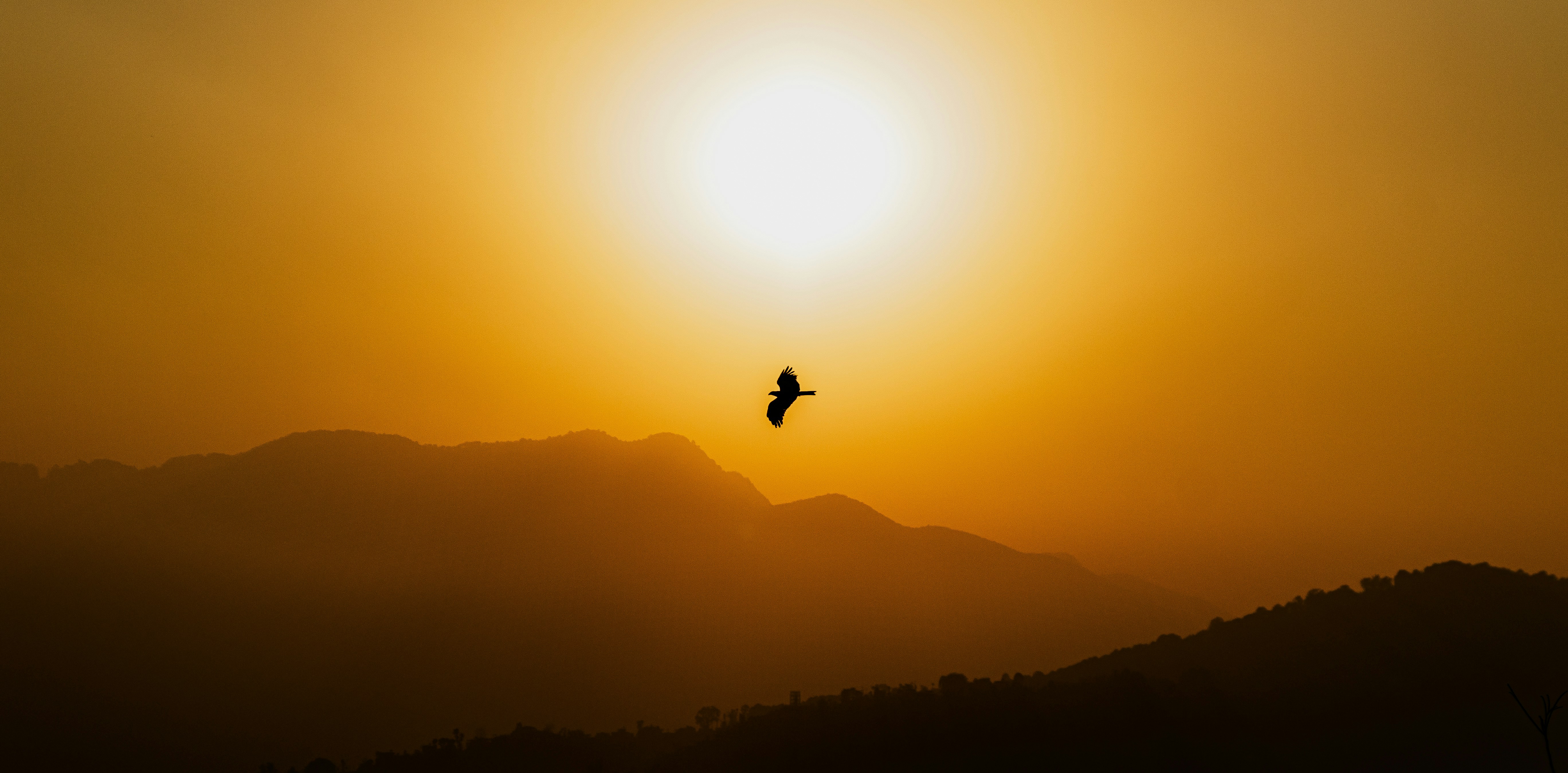 Photo by starkie_pics