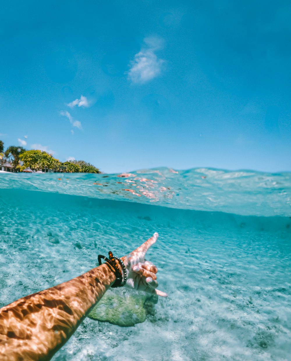 a giraffe is swimming in the water near a beach