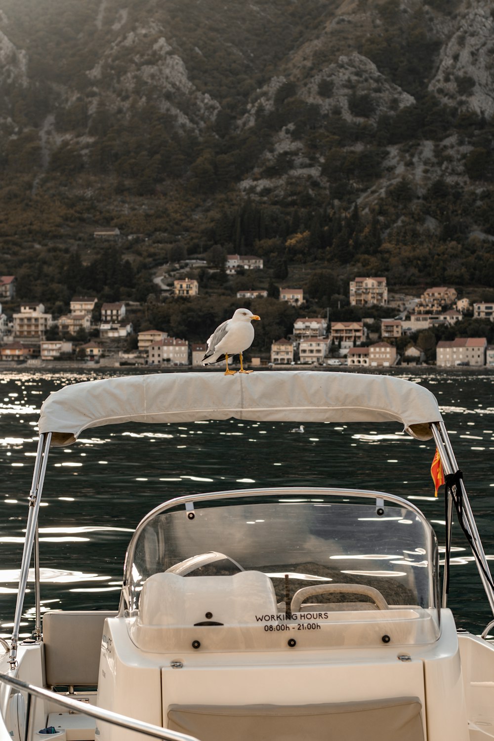 a seagull sitting on the back of a boat