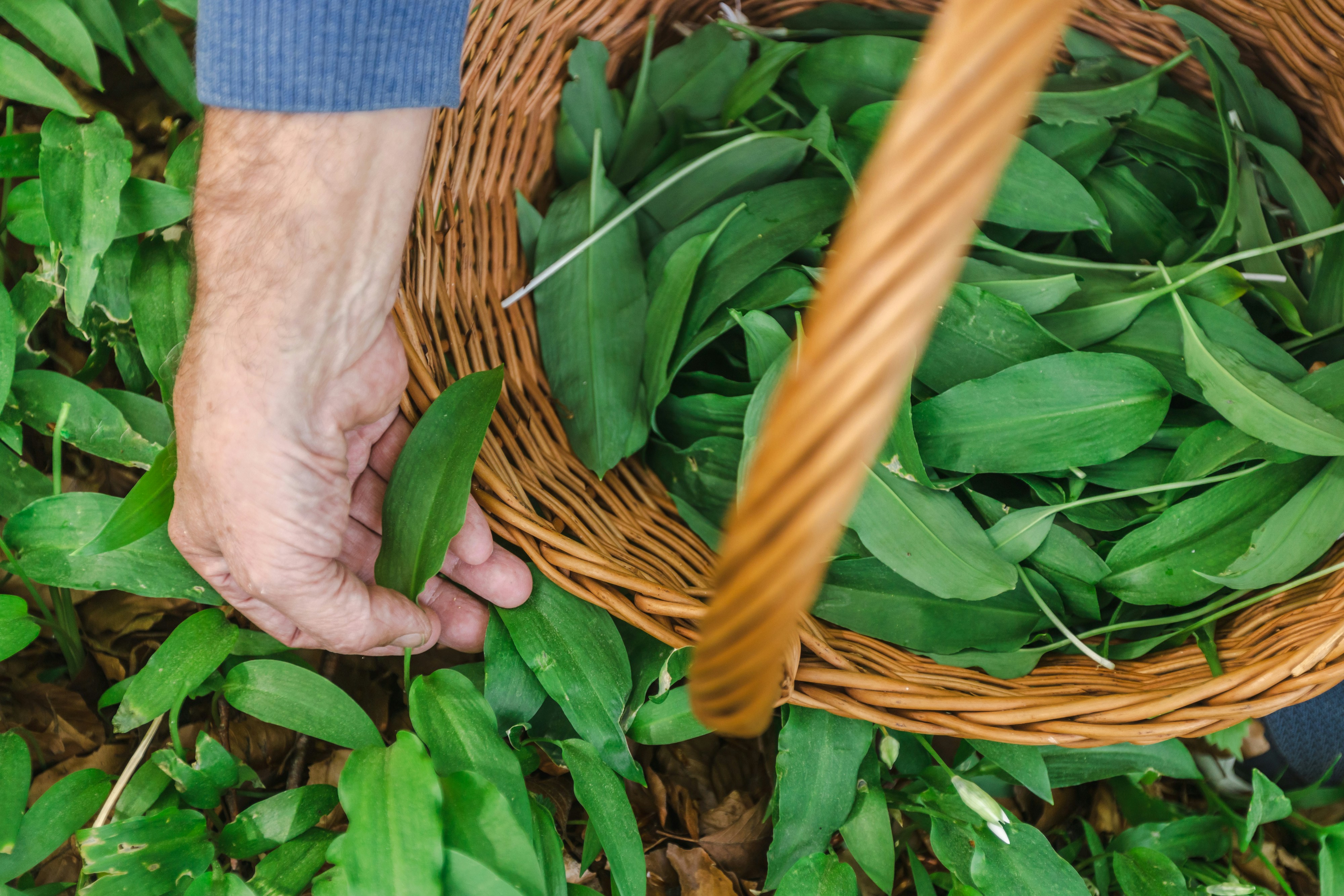 Photo by filipp_roman_photography