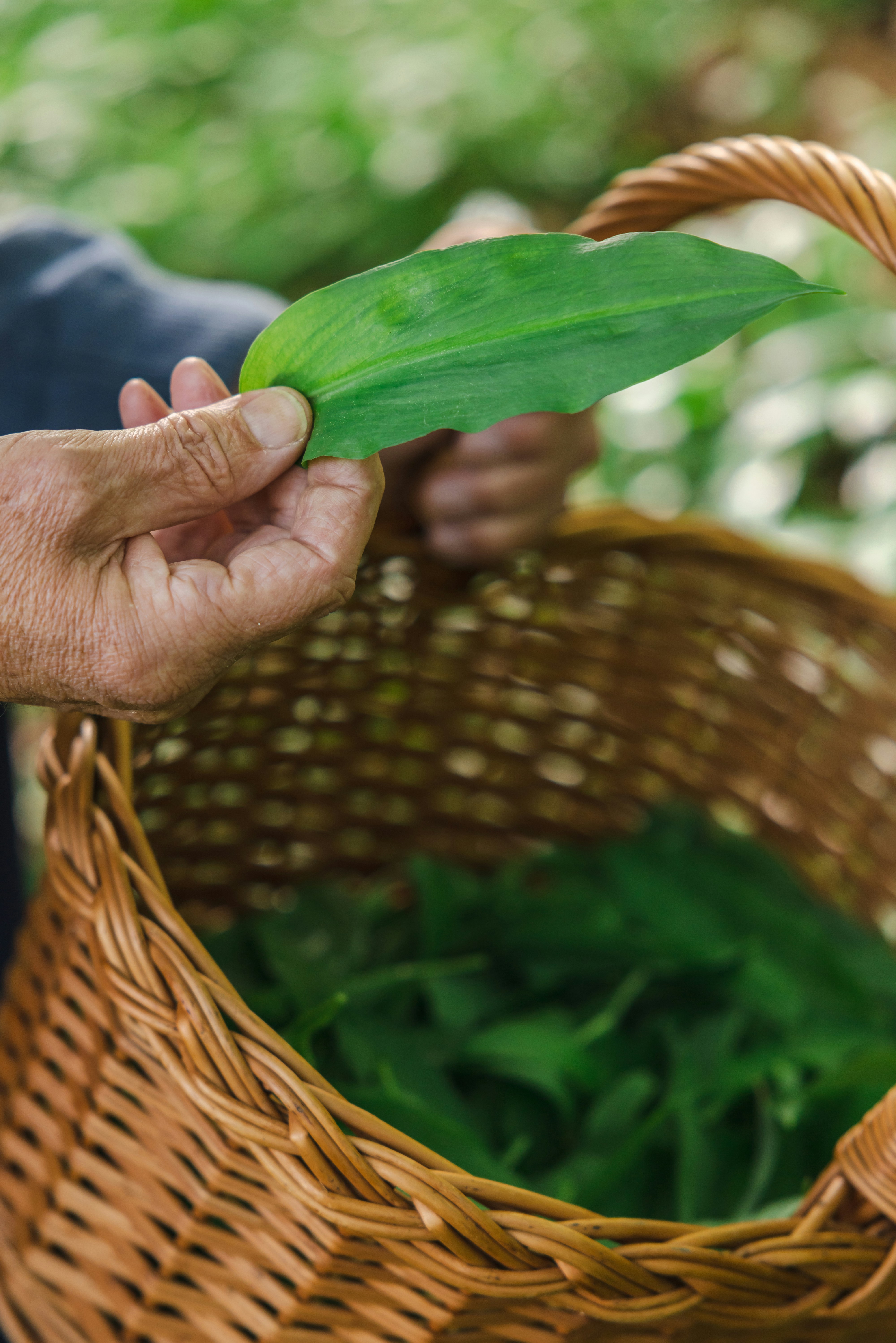 Photo by filipp_roman_photography