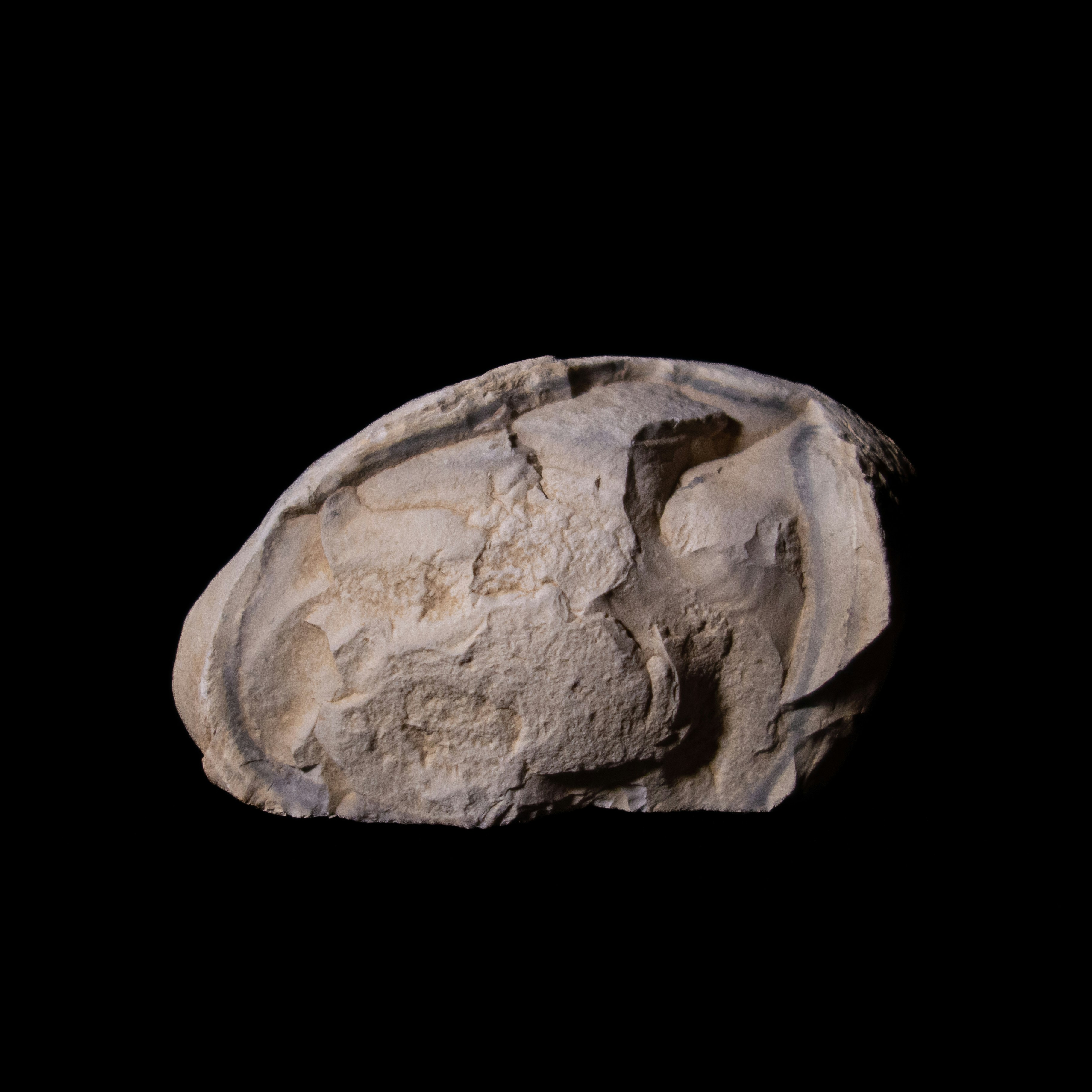 Photo by leydenfrost