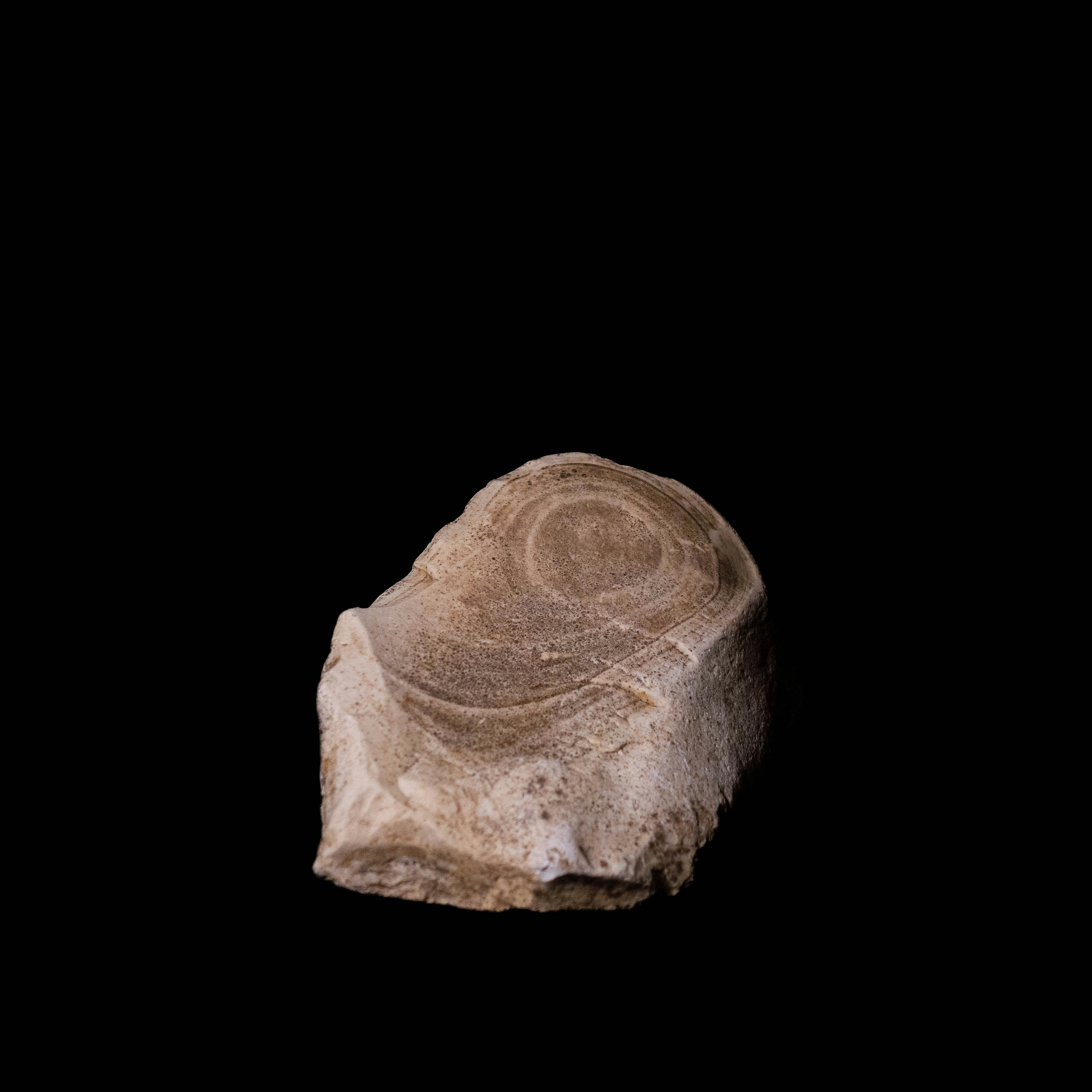 Photo by leydenfrost