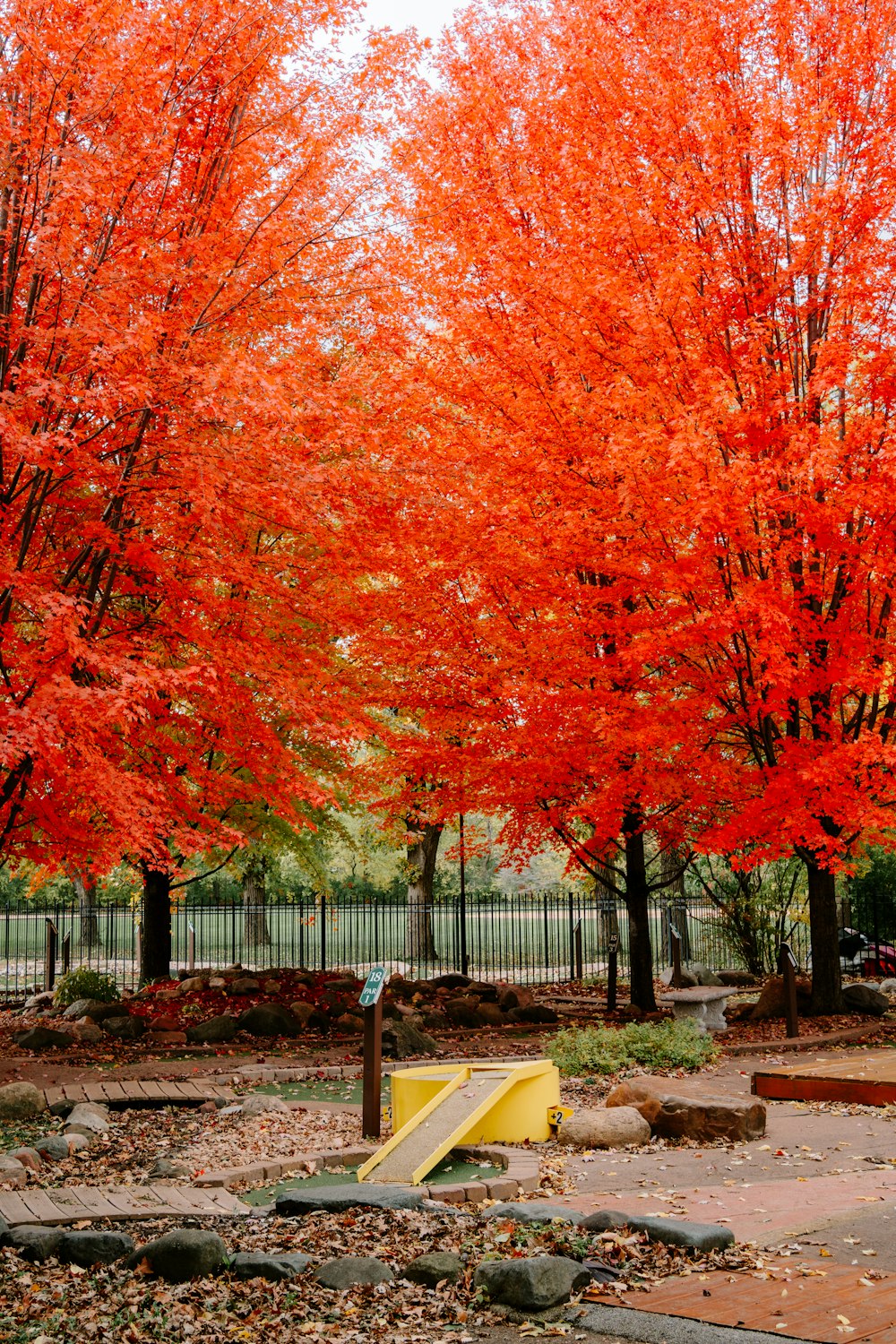 a park filled with lots of red trees