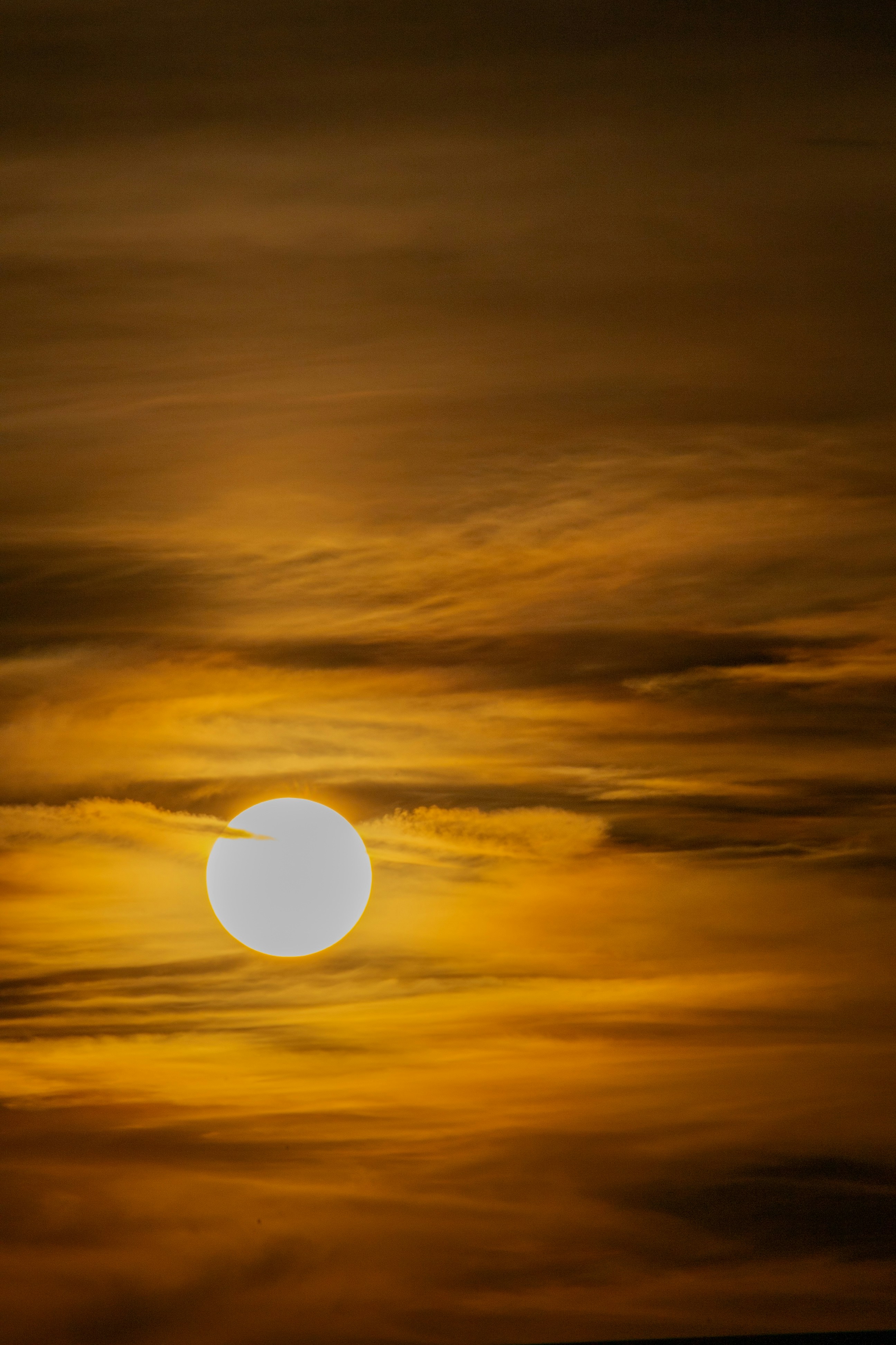 Photo by falconnovoa