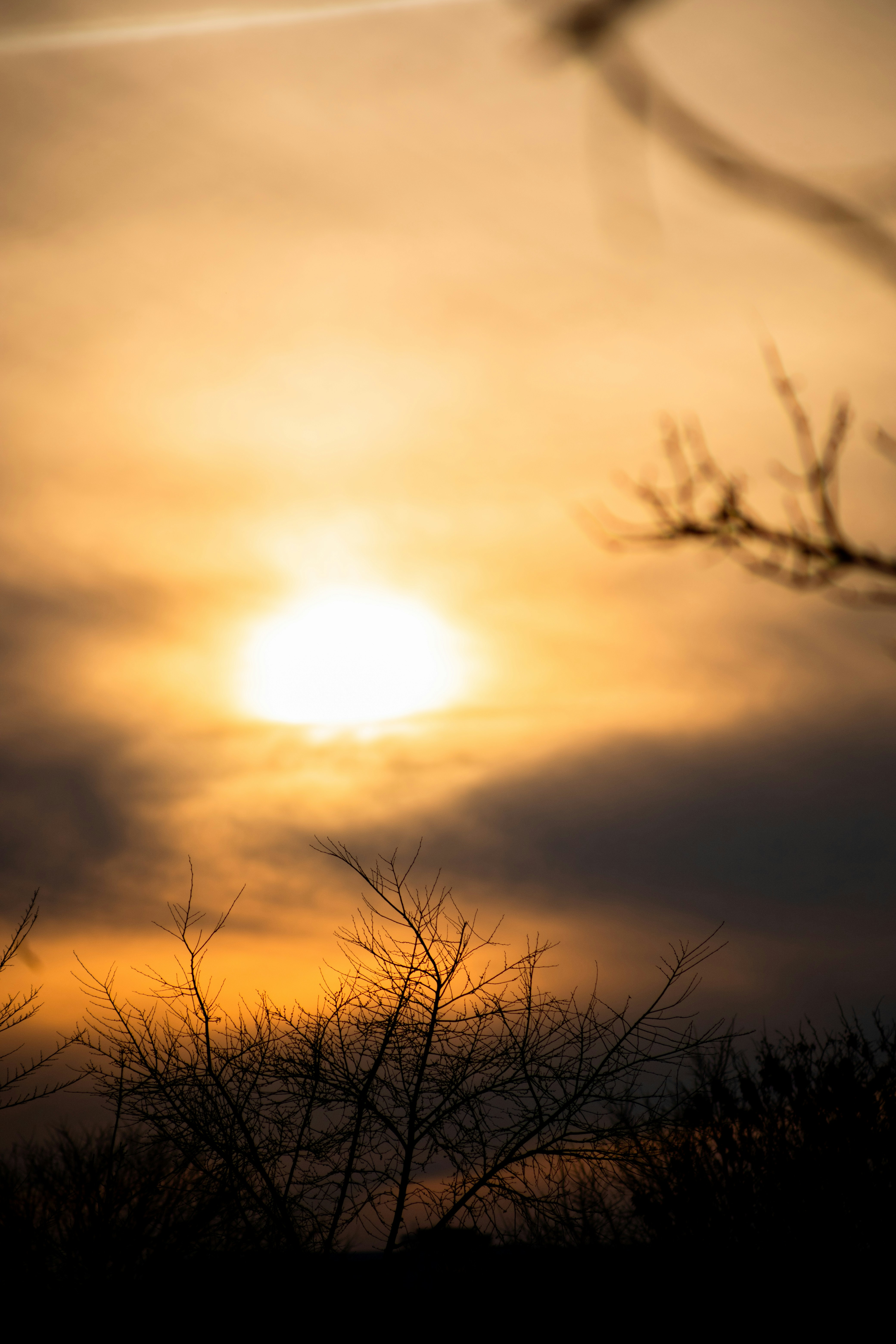 Photo by falconnovoa