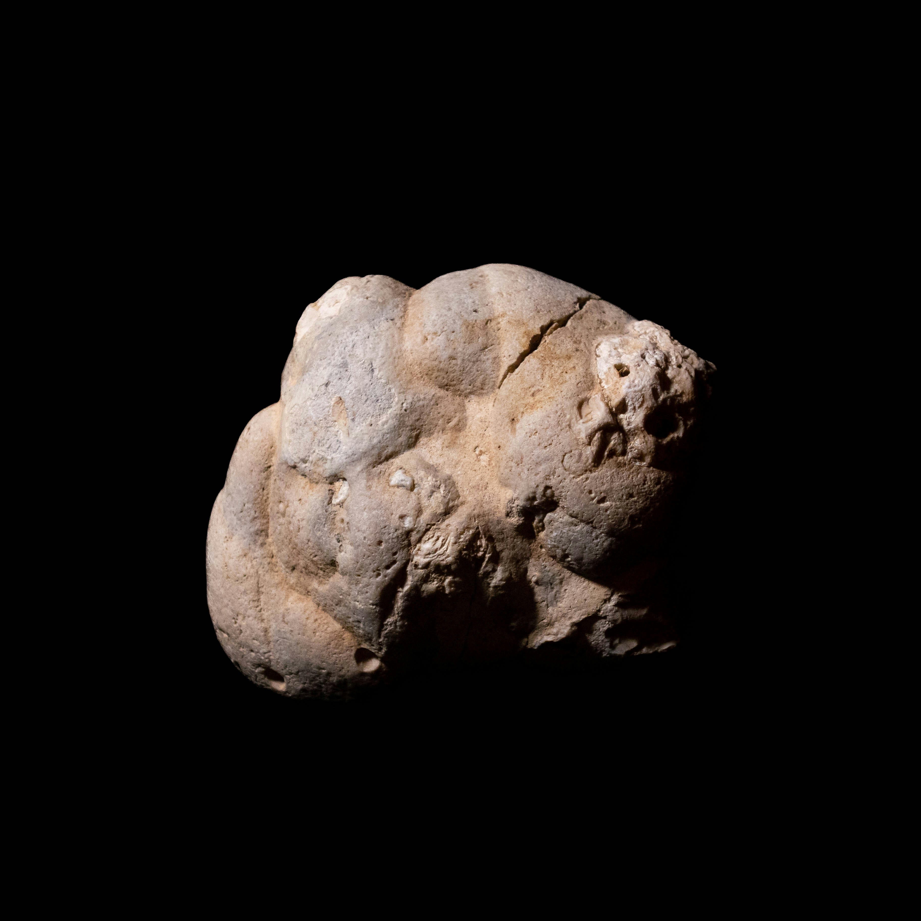 Photo by leydenfrost