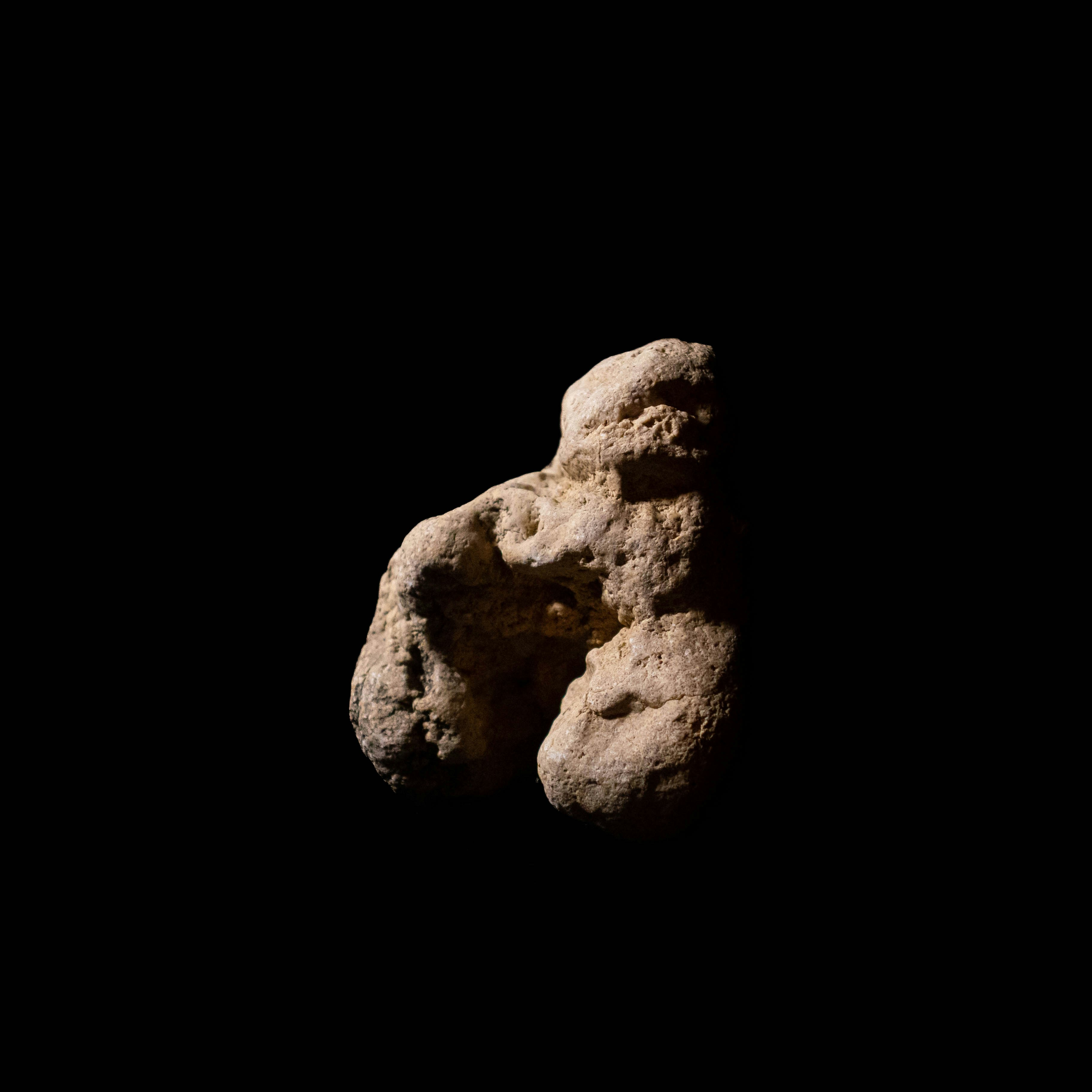 Photo by leydenfrost