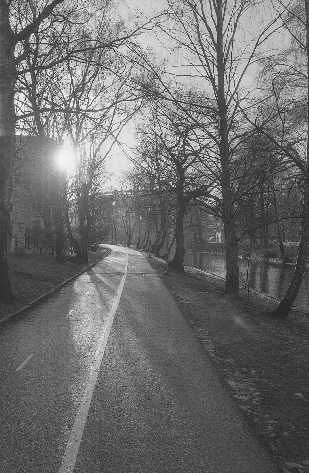 a black and white photo of a tree lined street