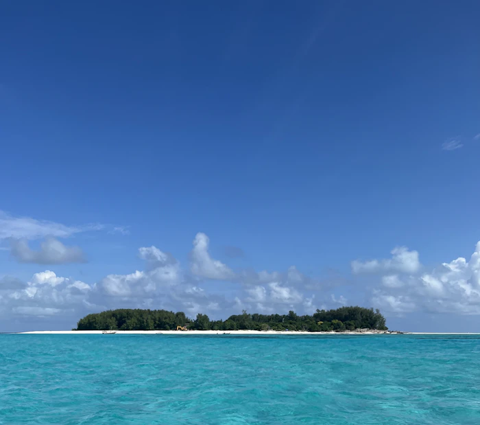 Zanzibar Spice Islands photo 5