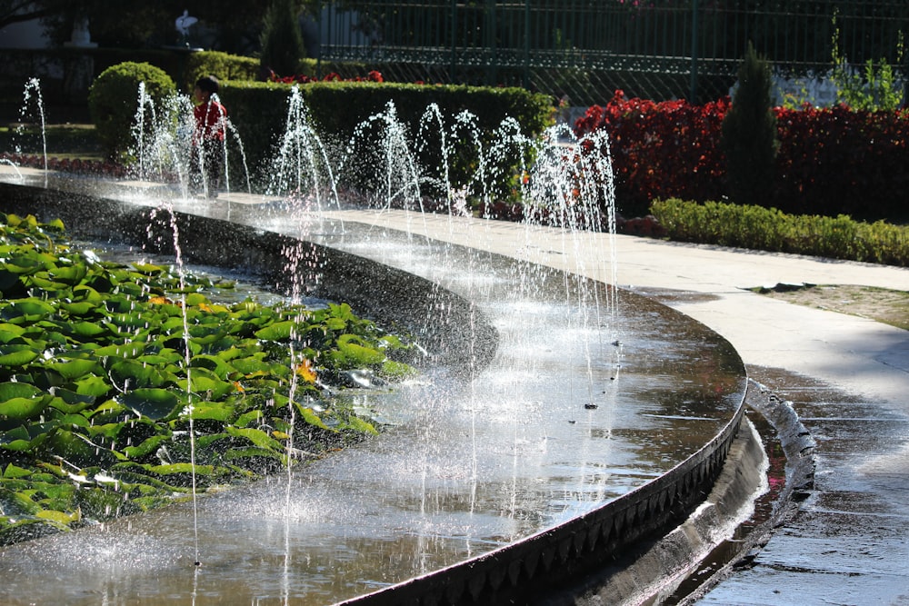 a water spouting fountain in the middle of a garden
