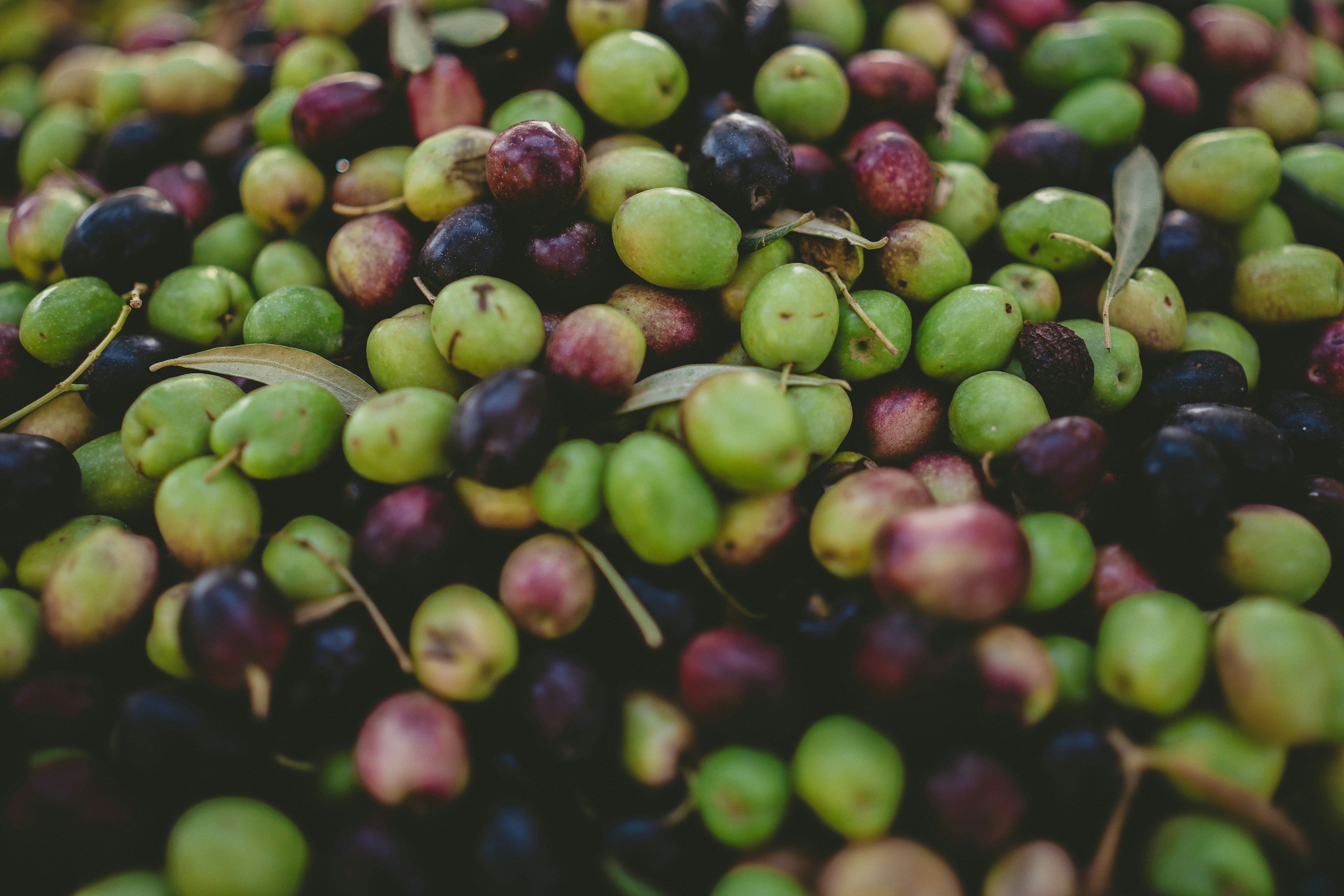 Photo by lysann_weber