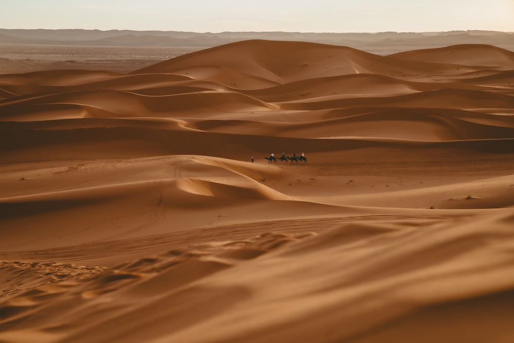 a group of people riding camels across a desert