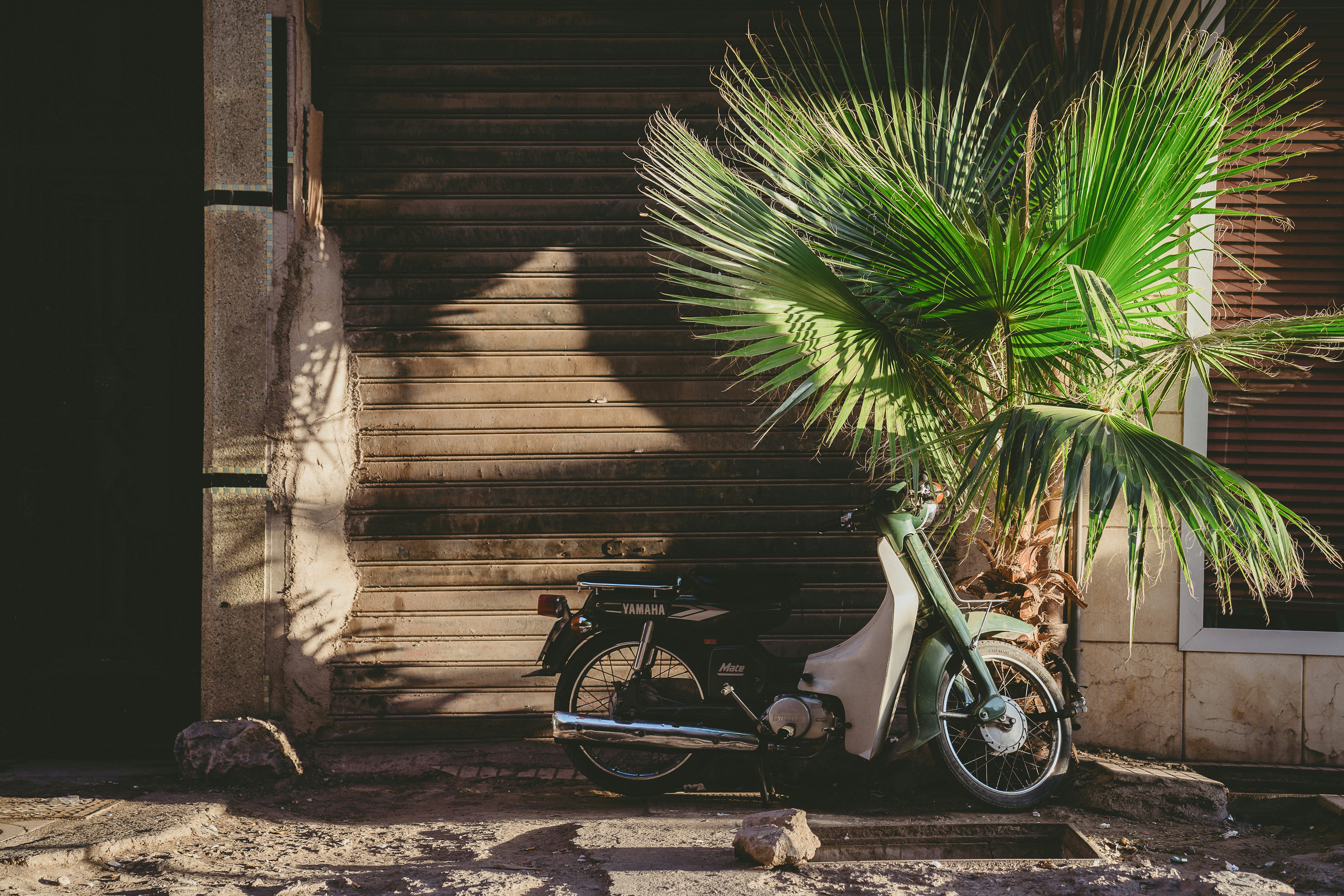 Photo by lysann_weber