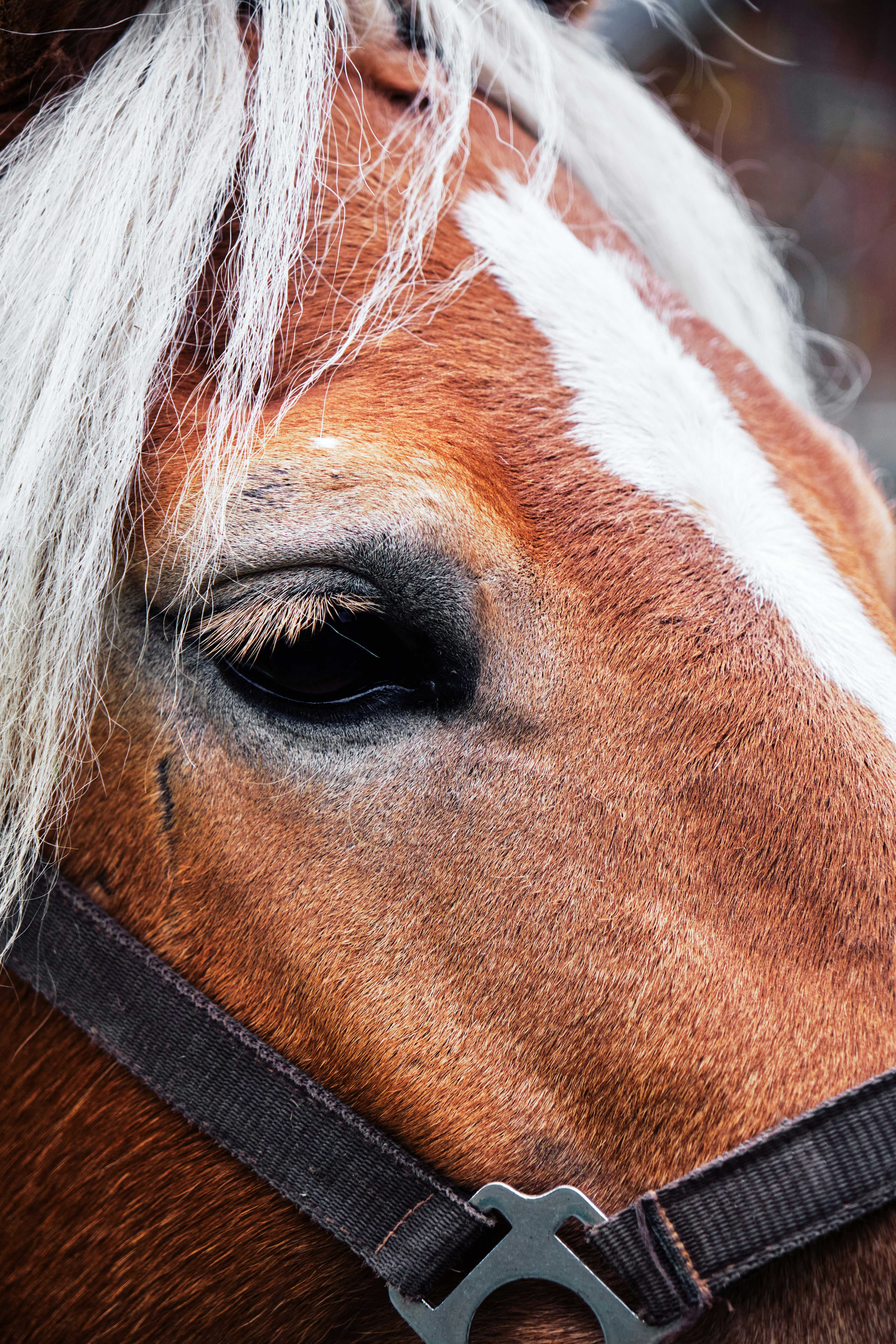 Photo by marcus_ganahl