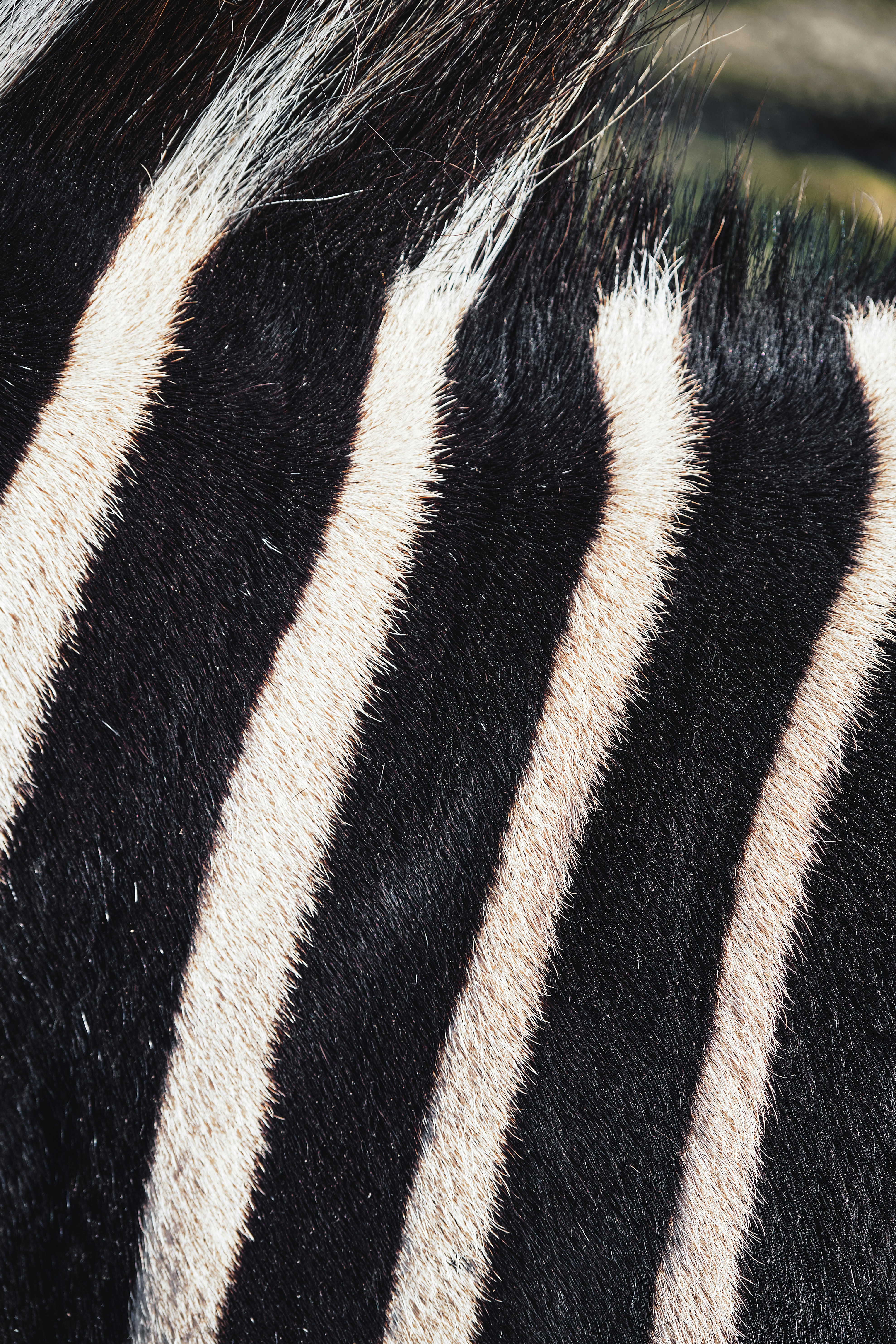 Photo by marcus_ganahl