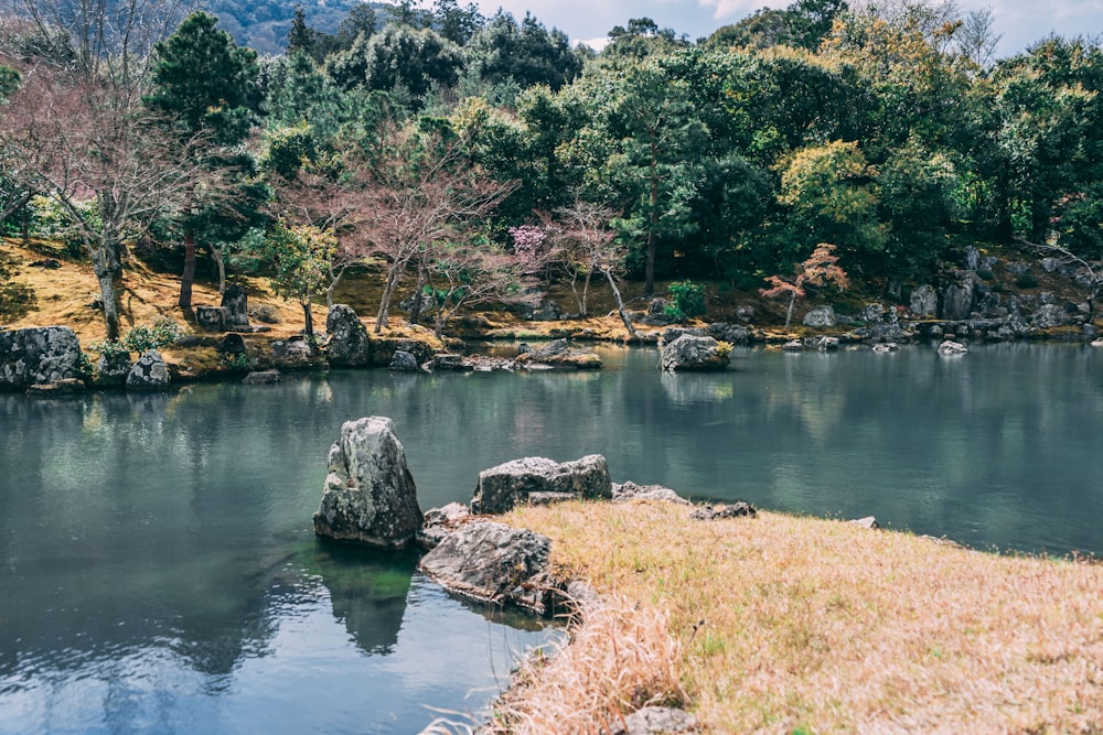 a body of water surrounded by trees and rocks