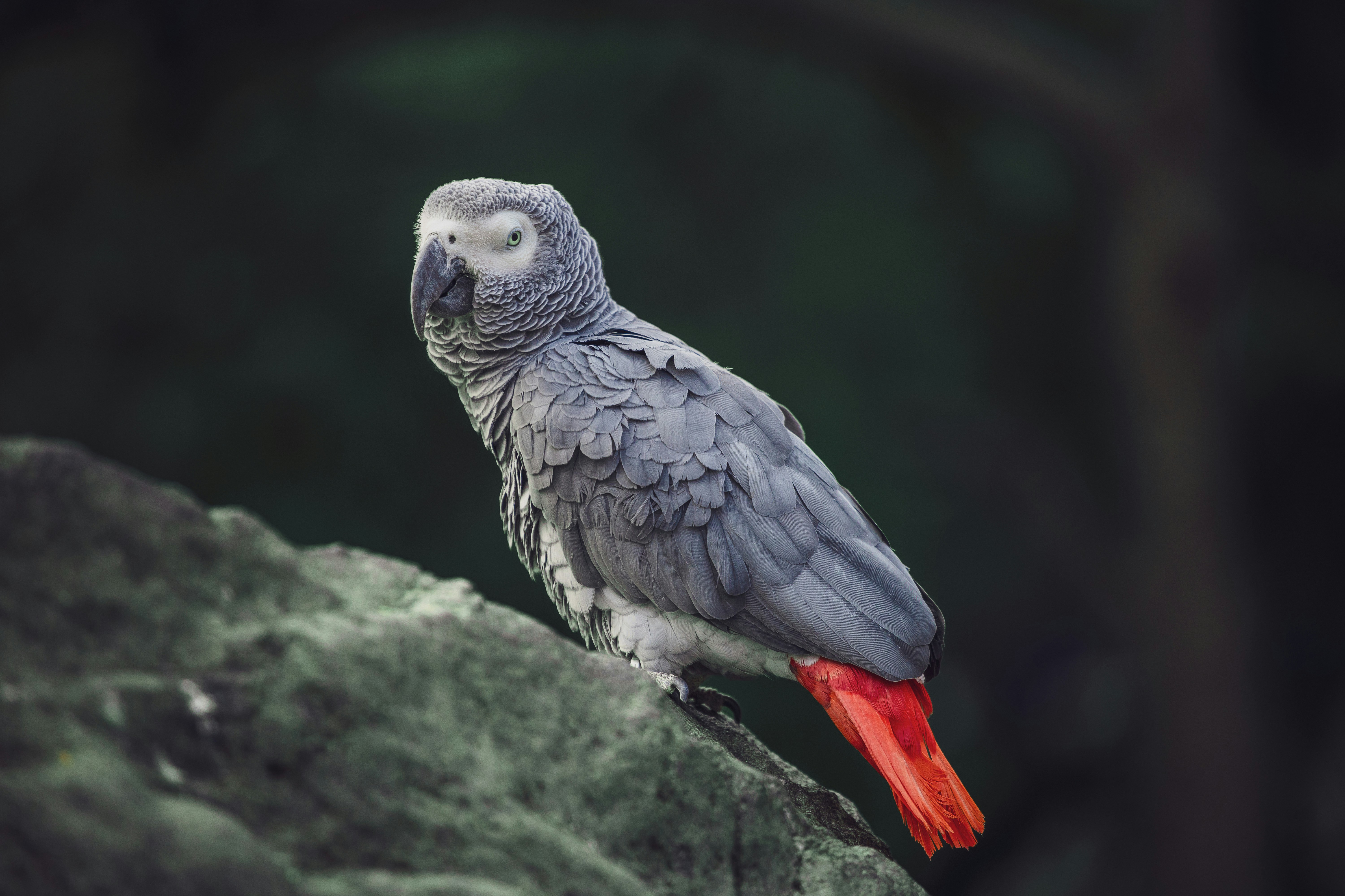 Photo by orian_lev_ari1