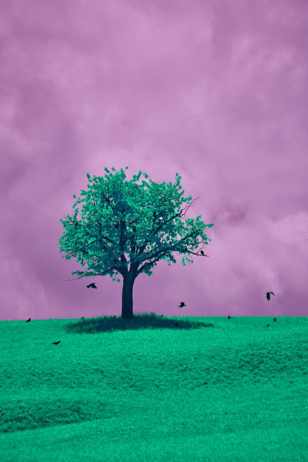 a lone tree in a green field under a purple sky