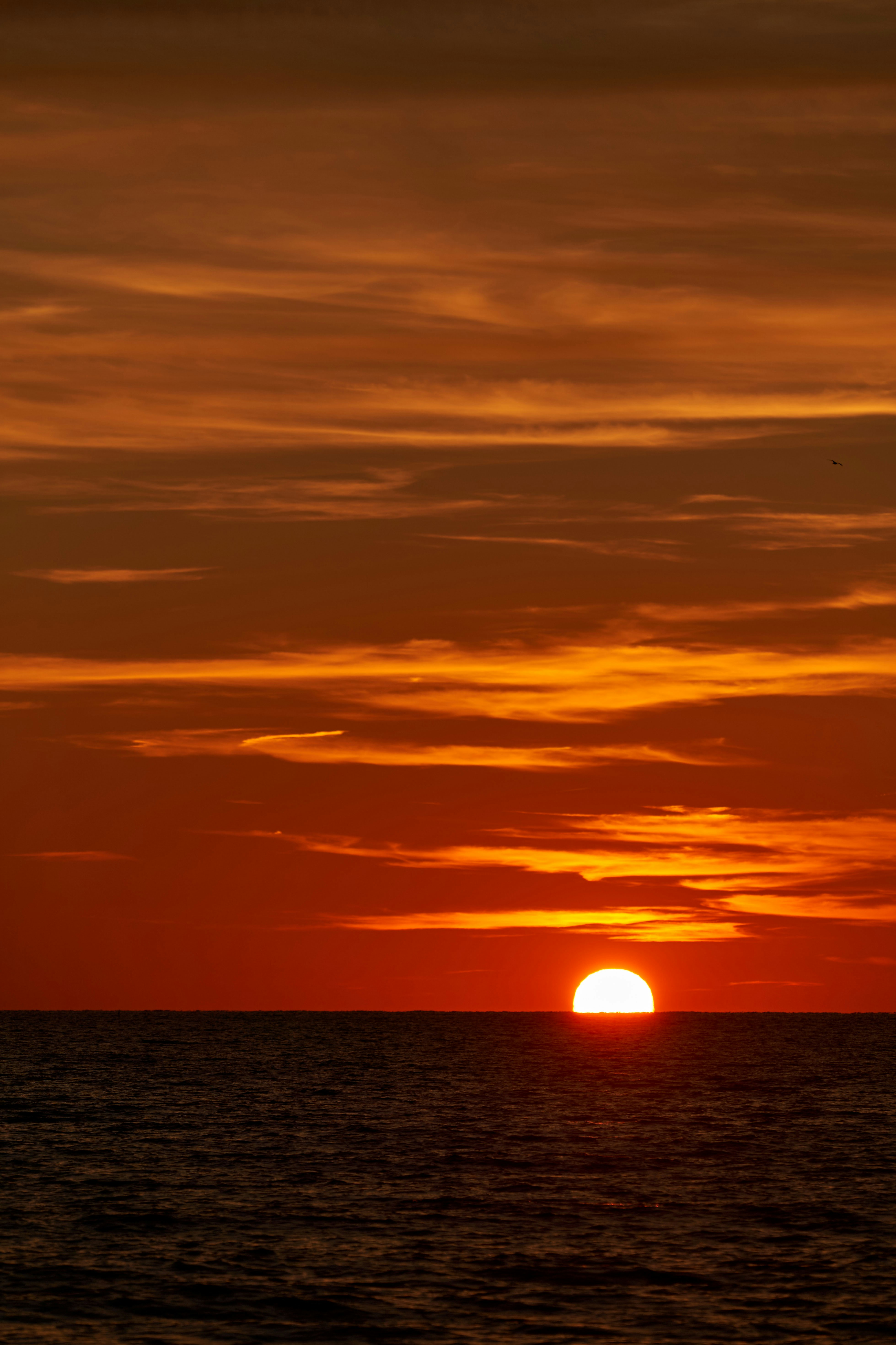 Photo by wolfgang_hasselmann