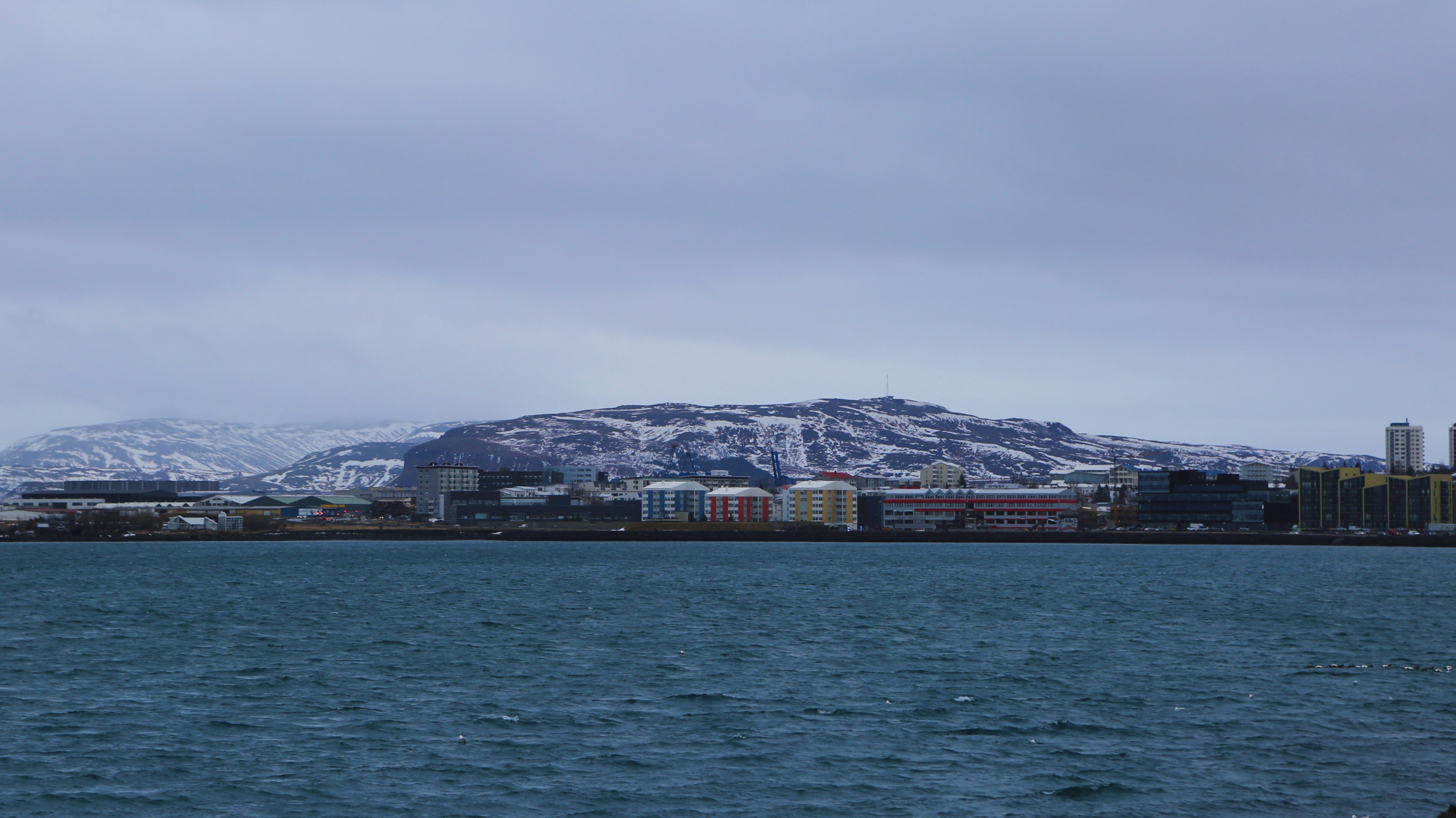 Skallagrímsgarður