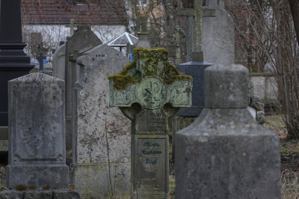 a cemetery with headstones and moss growing on them