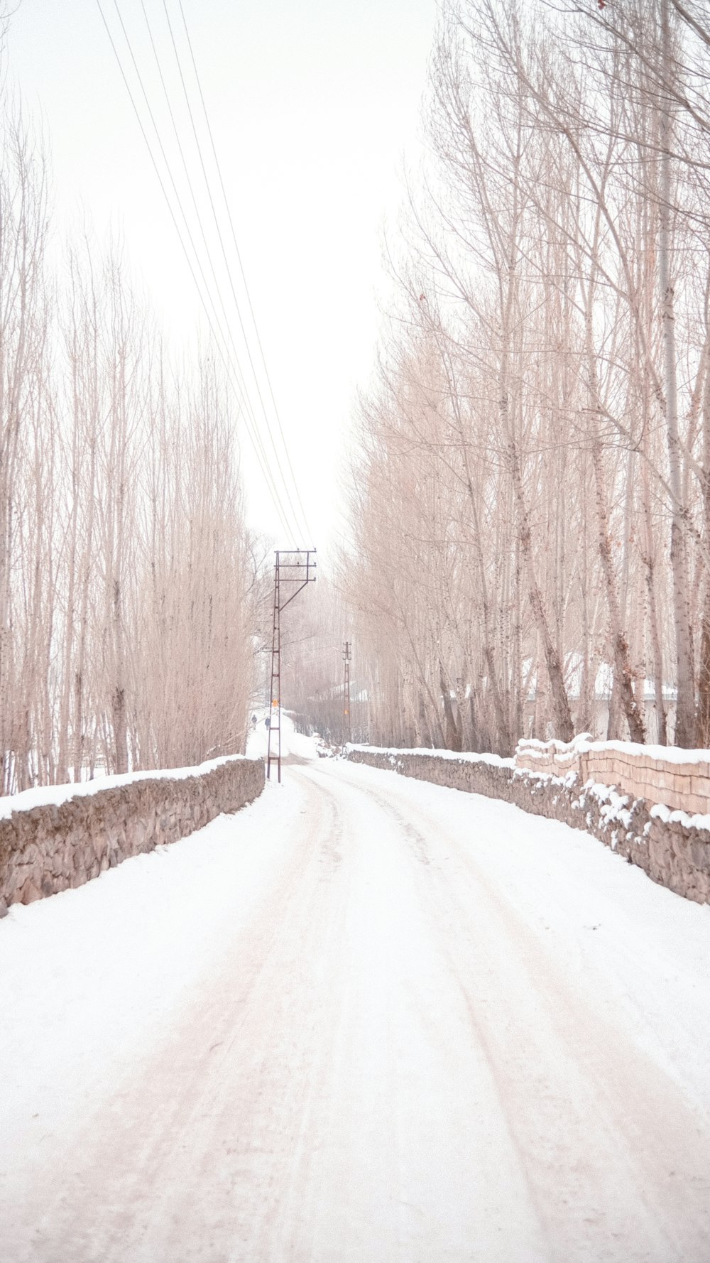 a snow covered road with power lines above it